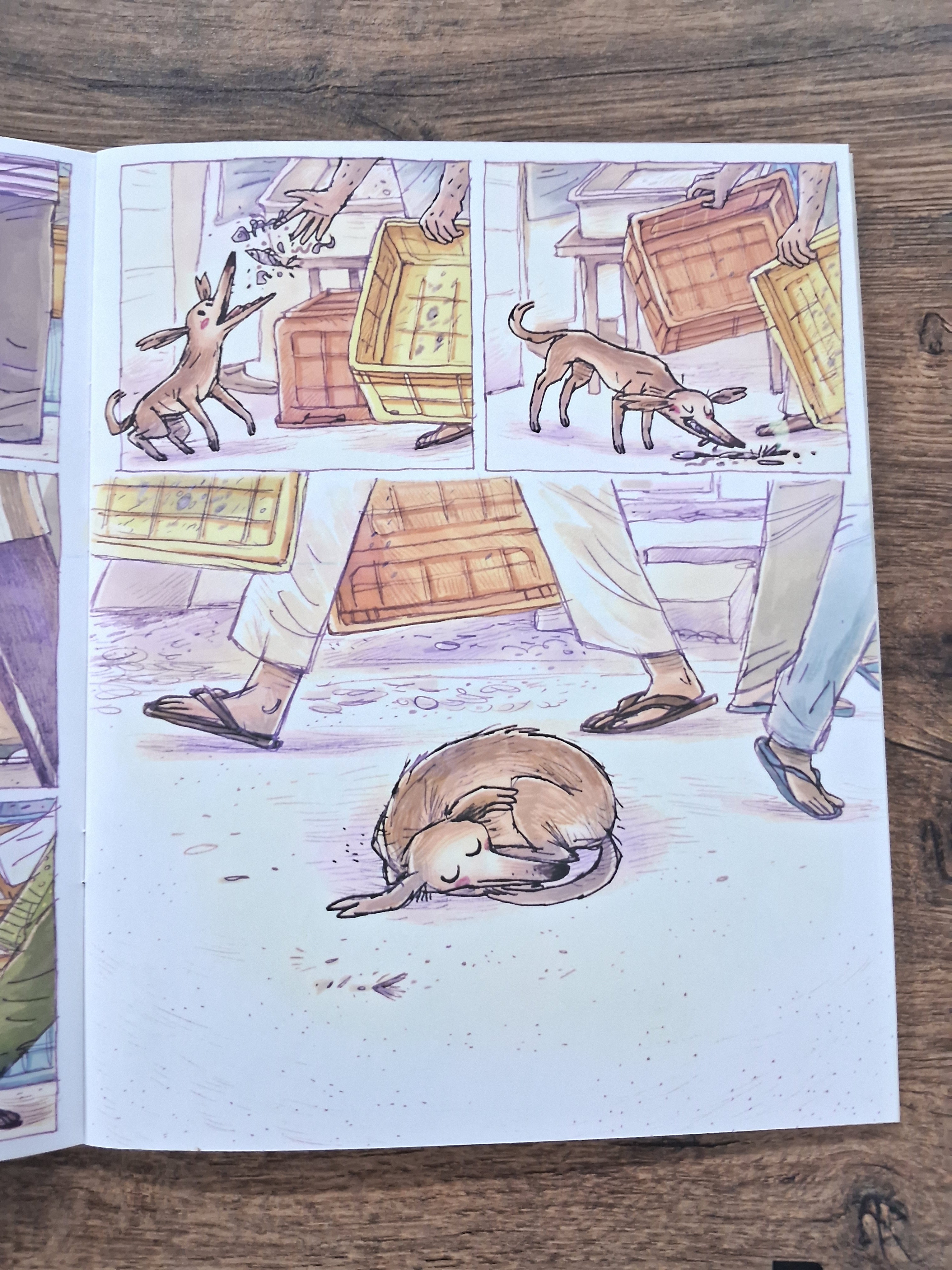 Dugga (Wordless) - Pratham English