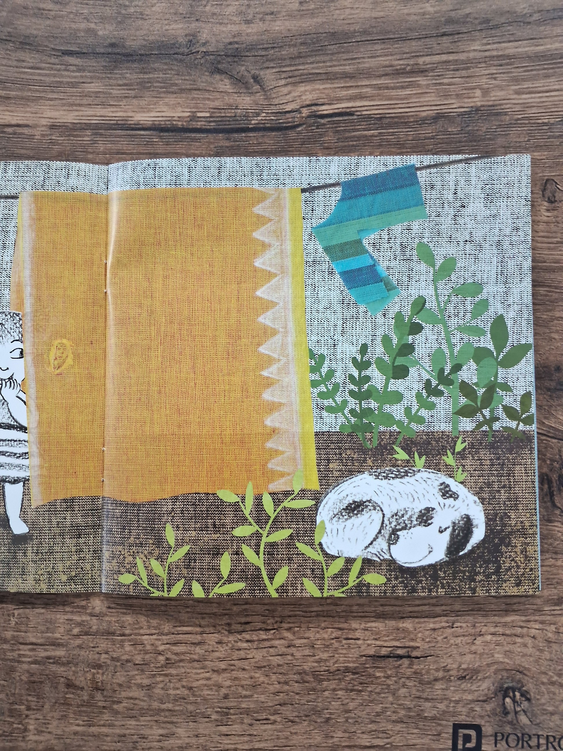 AMMAMA'S SARI - Wordless Book