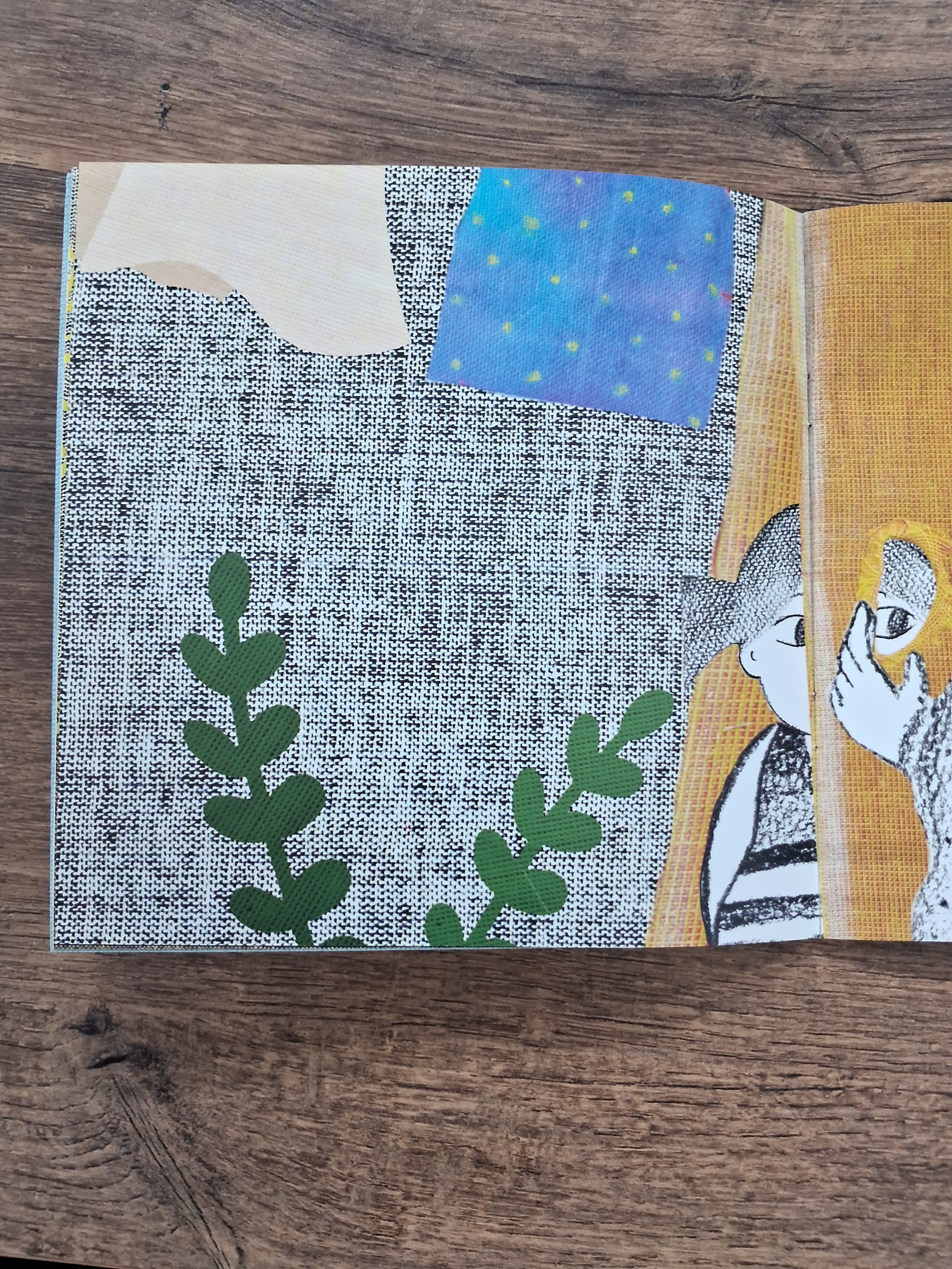 AMMAMA'S SARI - Wordless Book