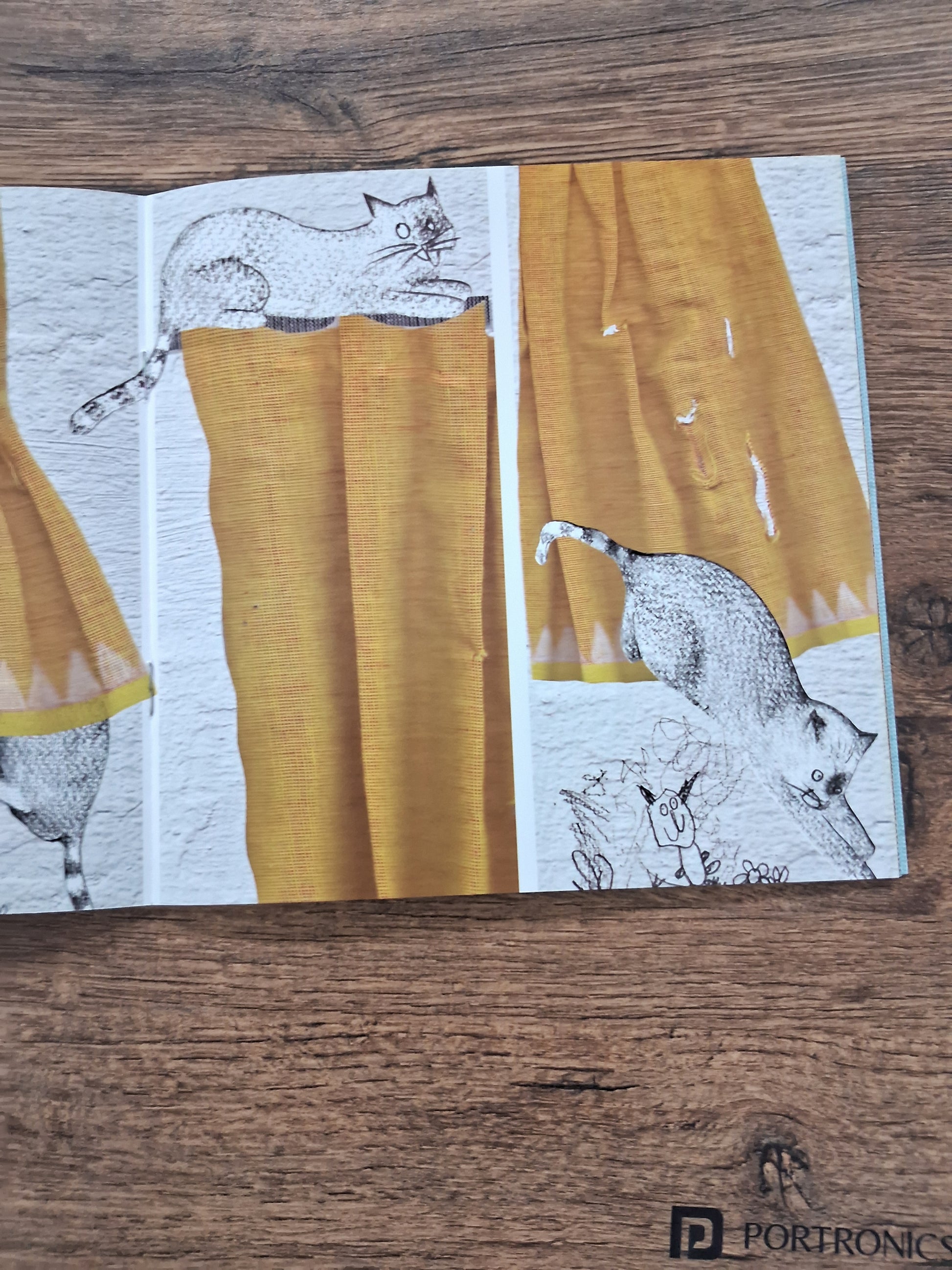 AMMAMA'S SARI - Wordless Book