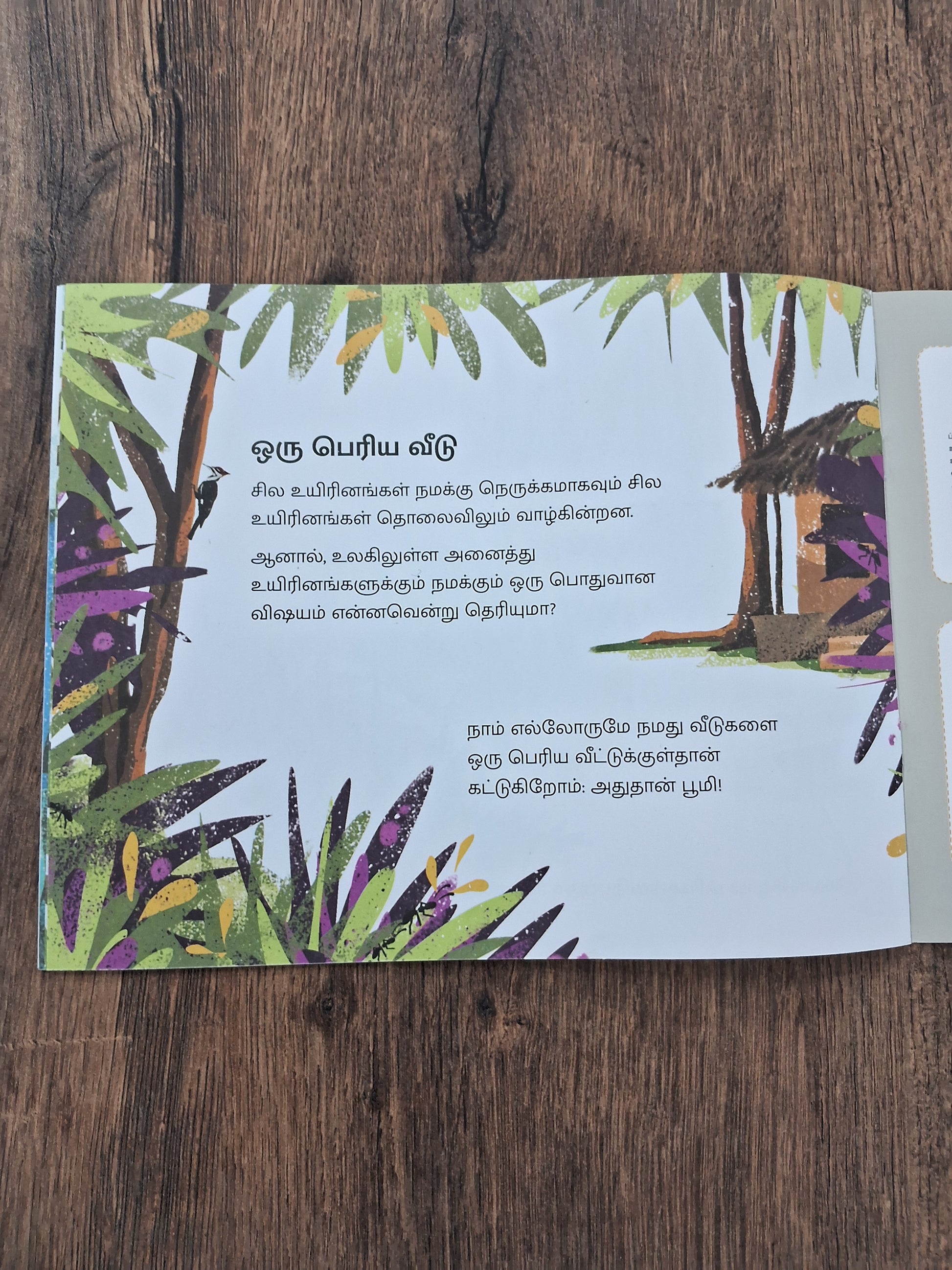 Animal Homes - Pratham - Tamil - Level1