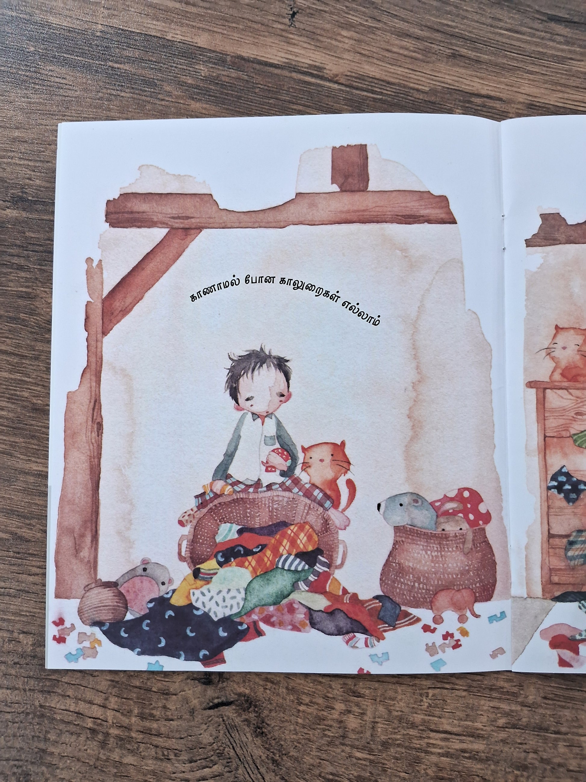 All the Missing Socks - Tamil Pratham Level2