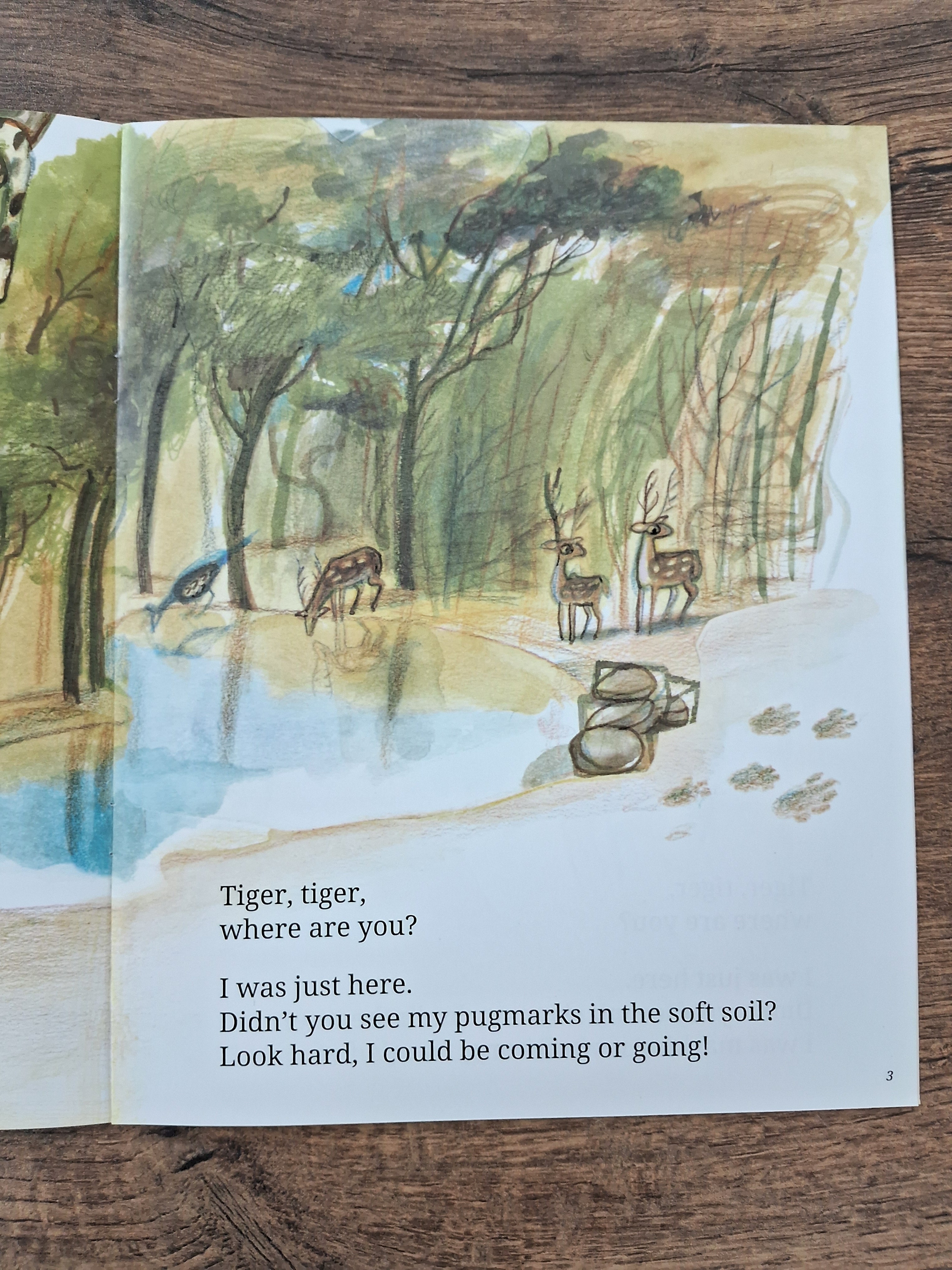 Tiger, Tiger, Where Are You? - English Pratham - Level 2