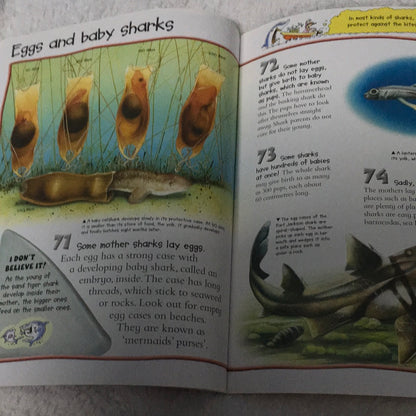 Shark - 100 Facts