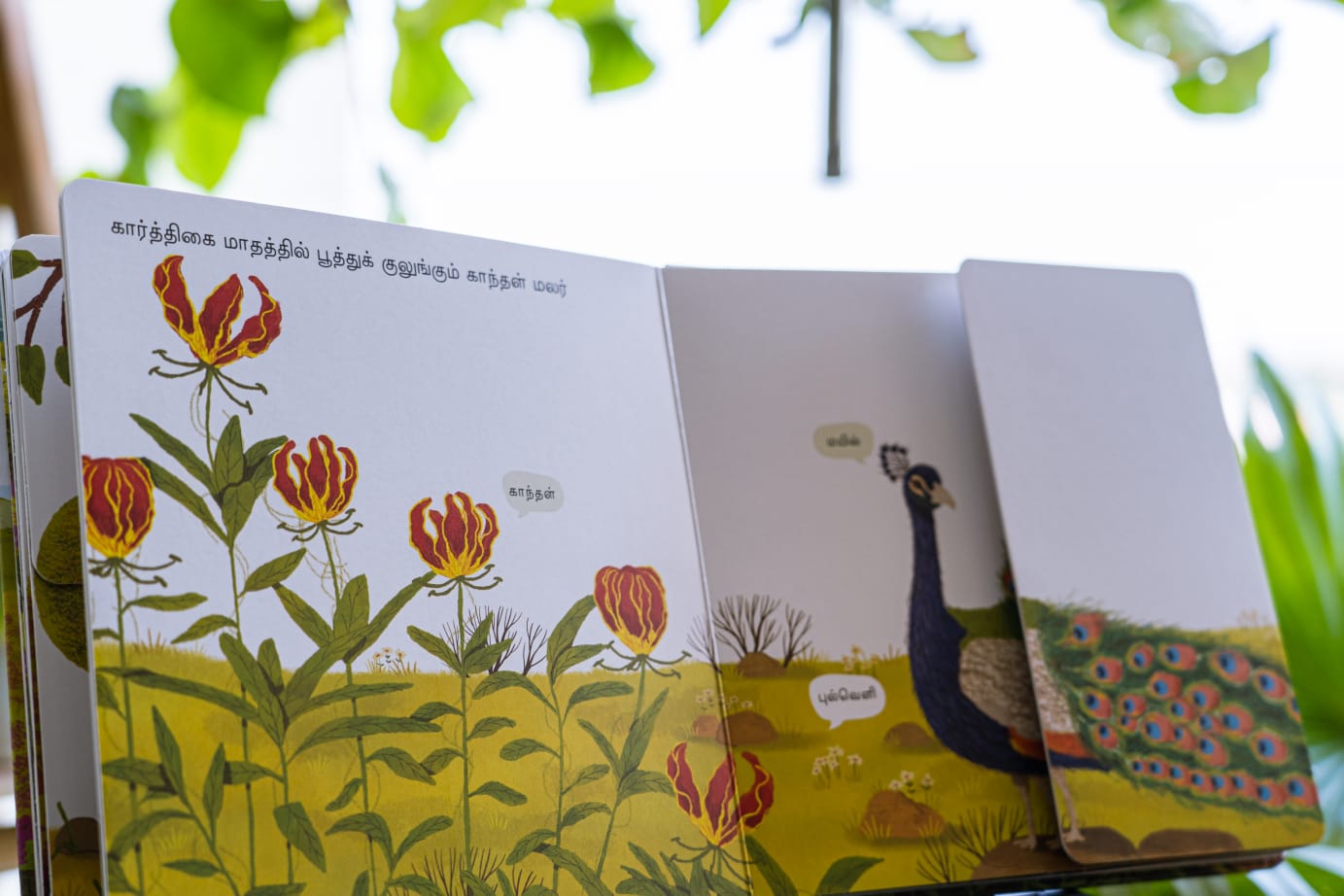Kurinji - Tamil Flap Book
