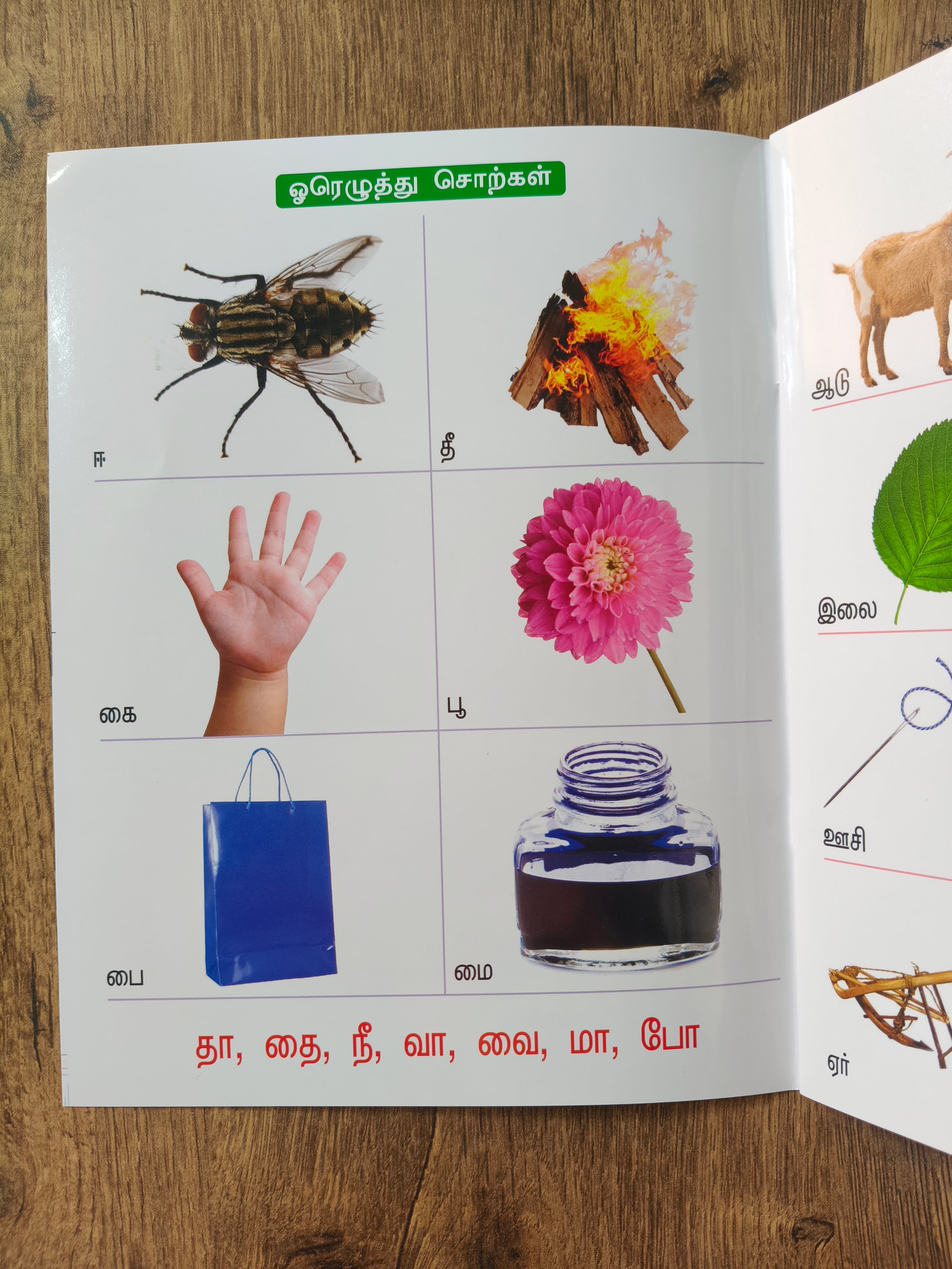 Laminated Tamil Arichuvadi and Eliya Sorkal Combo