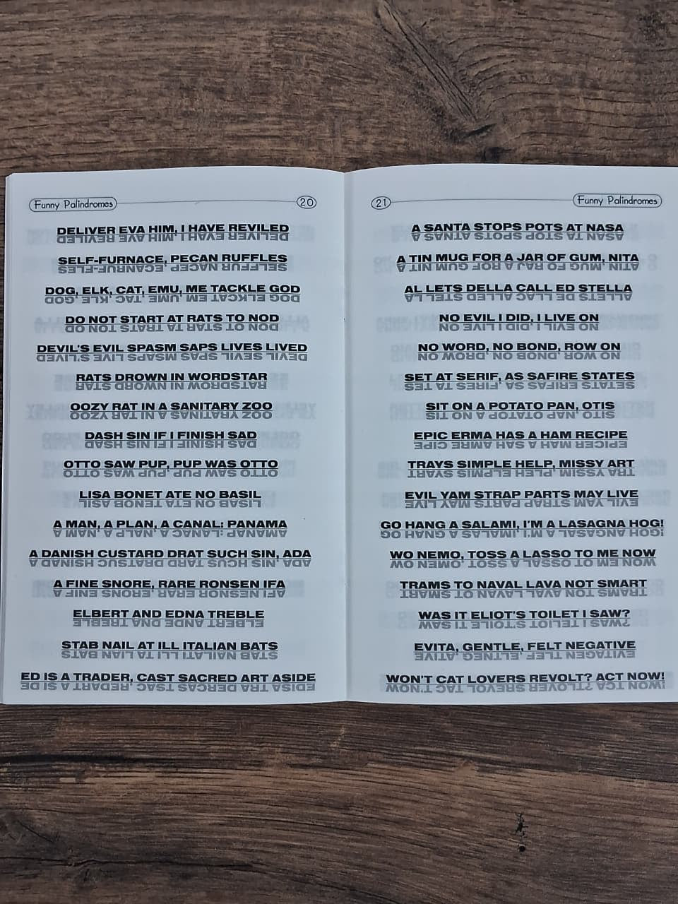 Word Games - Funny Palīndromes