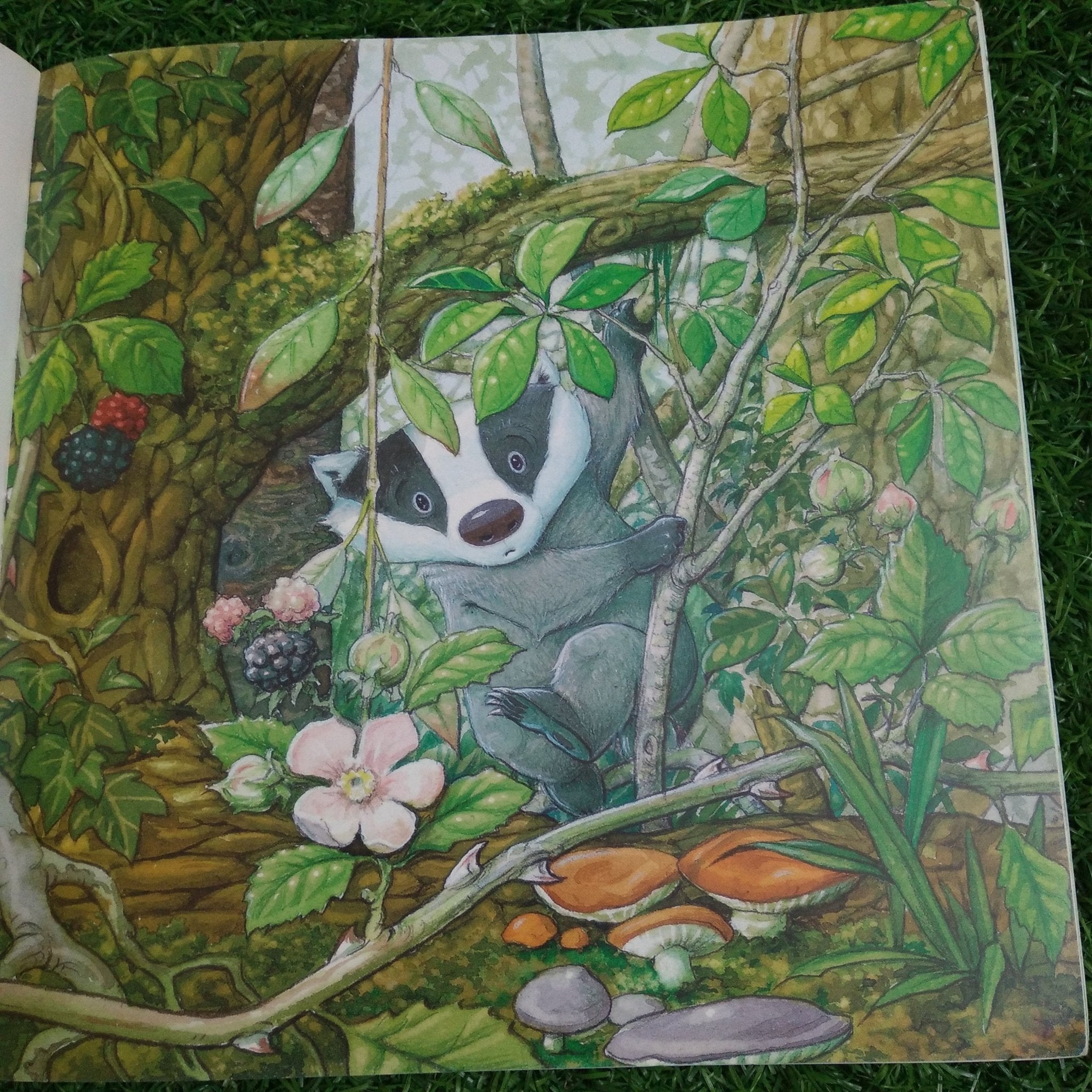 A Home on the River - Preloved - We Are Turners