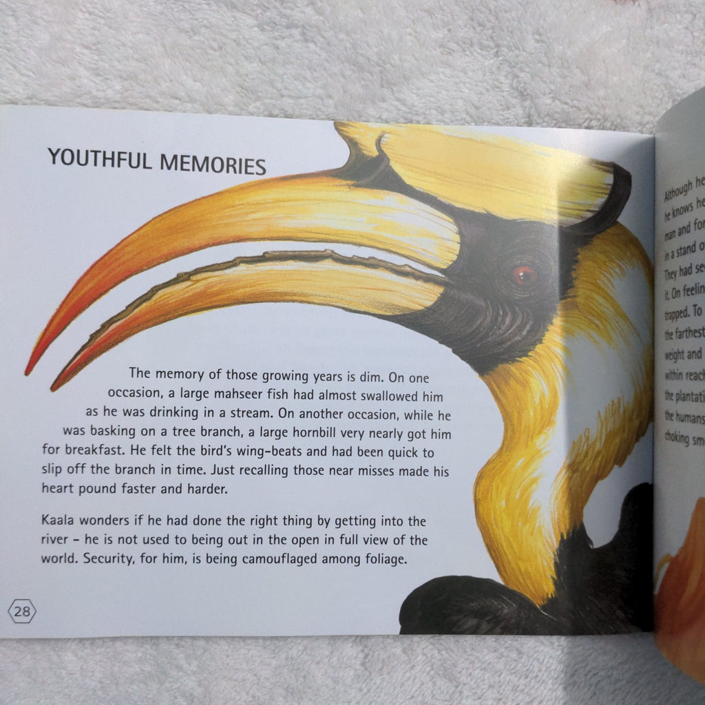 A King Cobra's Summer - English . - We Are Turners