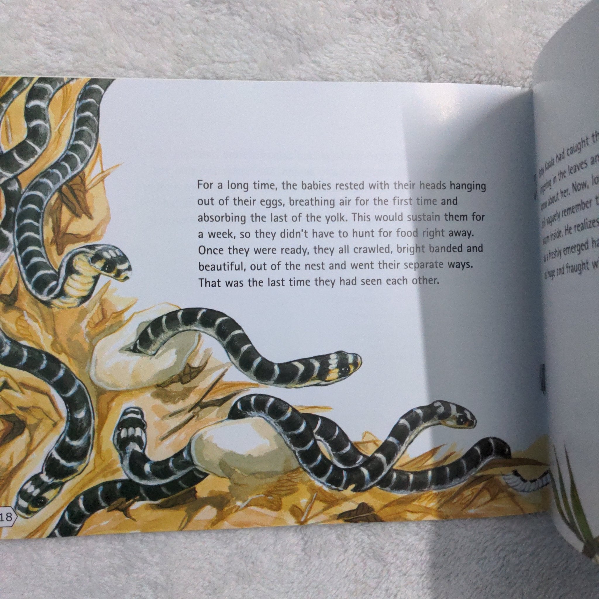 A King Cobra's Summer - English . - We Are Turners