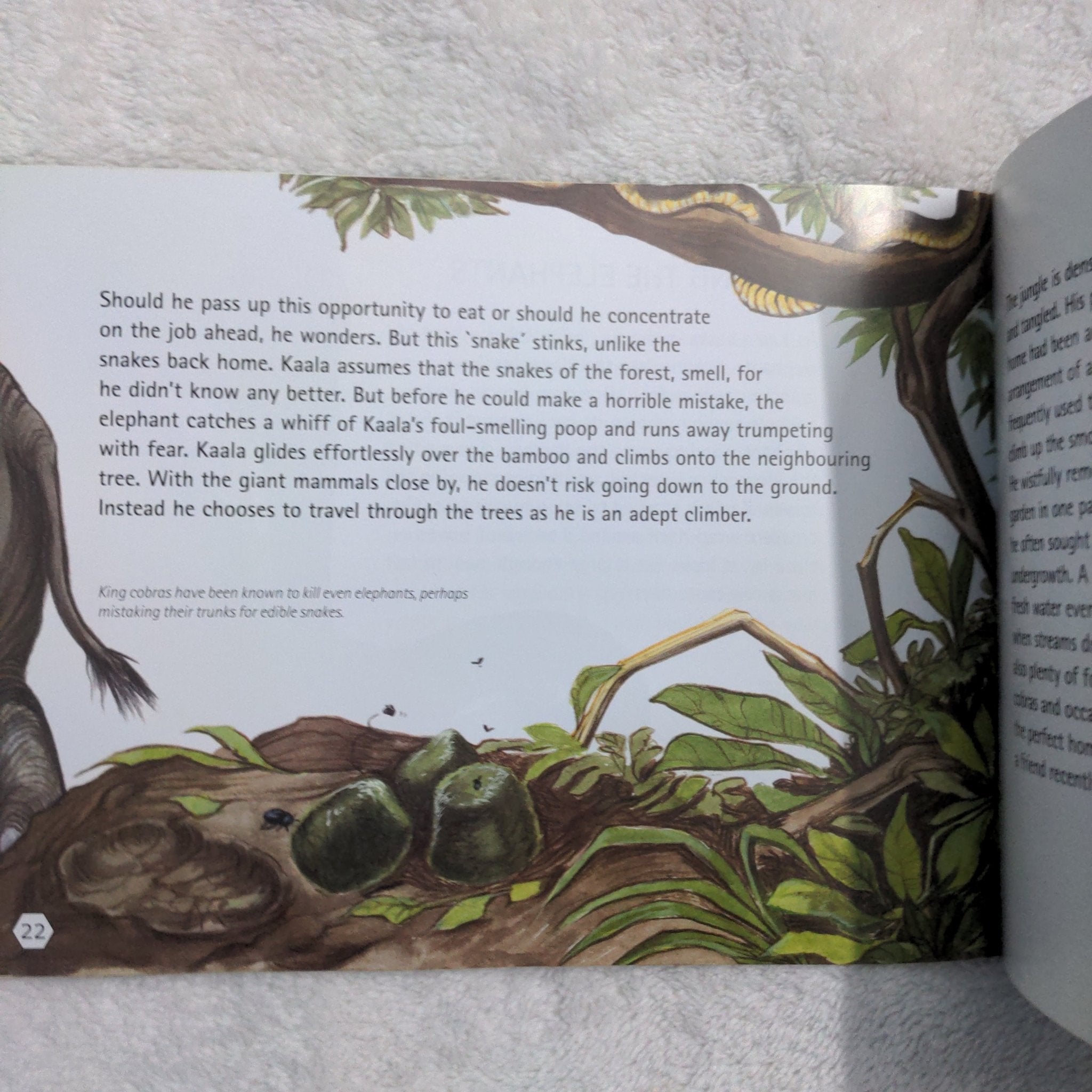 A King Cobra's Summer - English . - We Are Turners