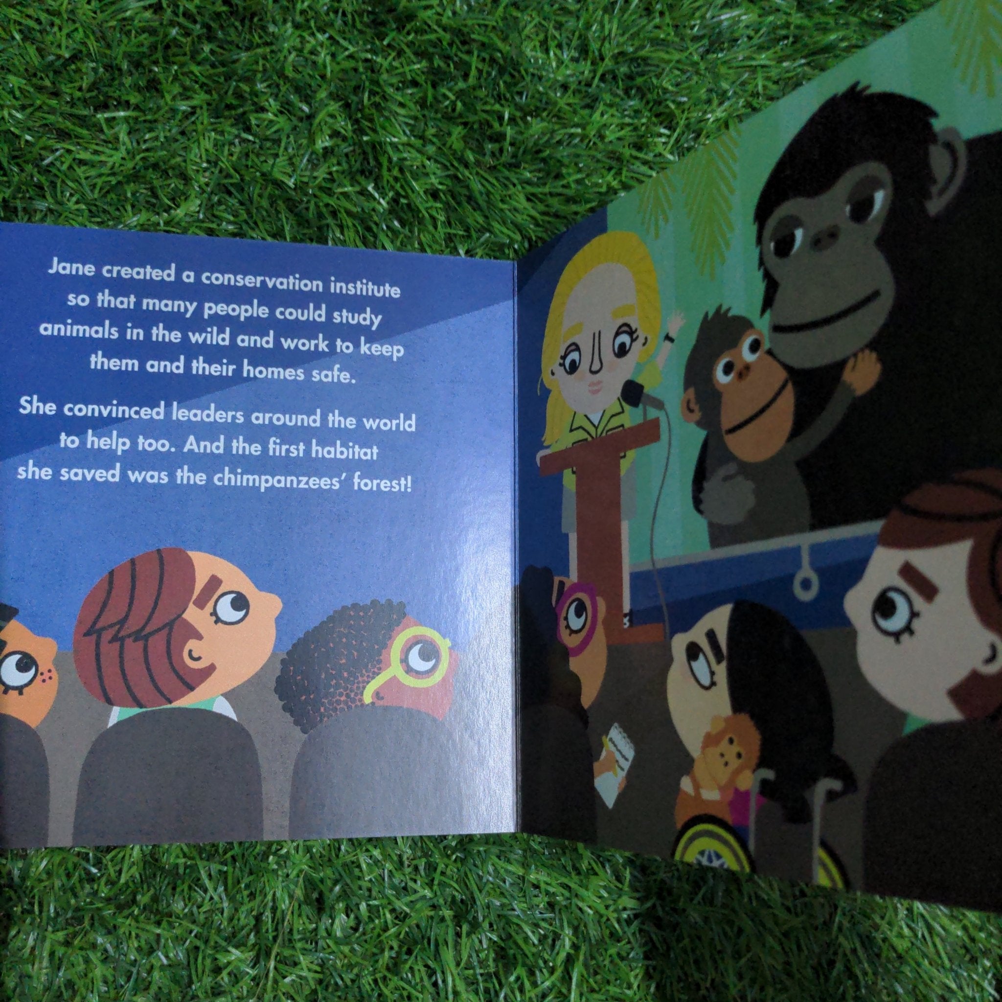 Big Ideas for Little Environmentalists: Conservation with Jane Goodall - We Are Turners