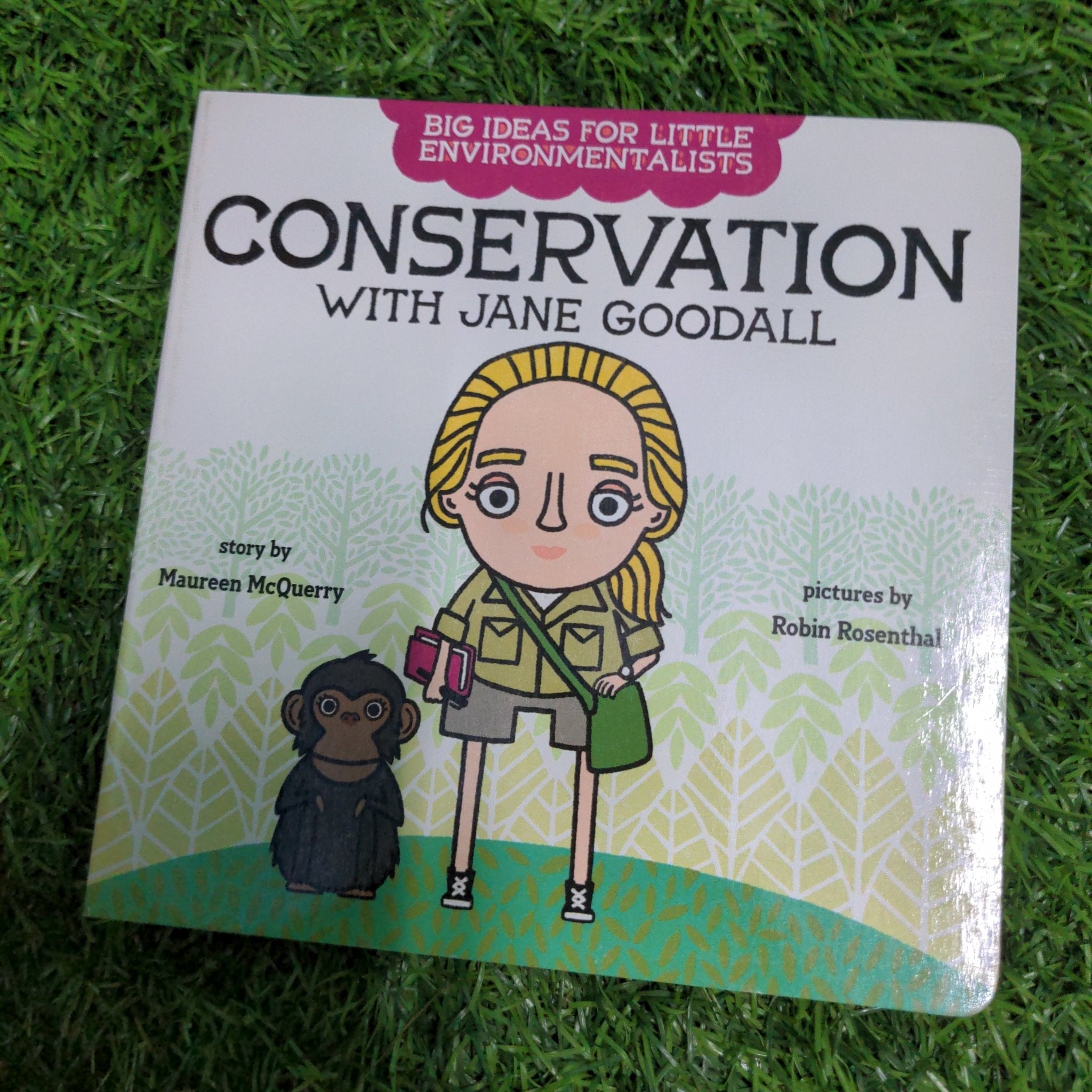 Big Ideas for Little Environmentalists: Conservation with Jane Goodall - We Are Turners