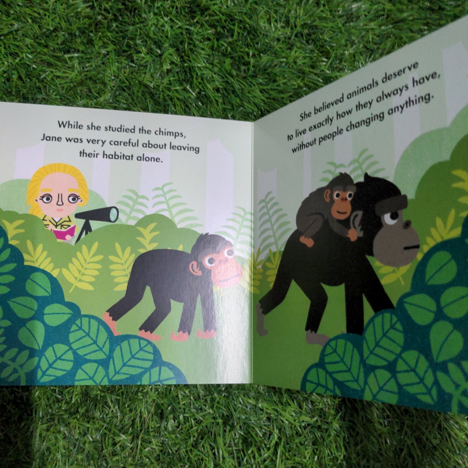 Big Ideas for Little Environmentalists: Conservation with Jane Goodall - We Are Turners