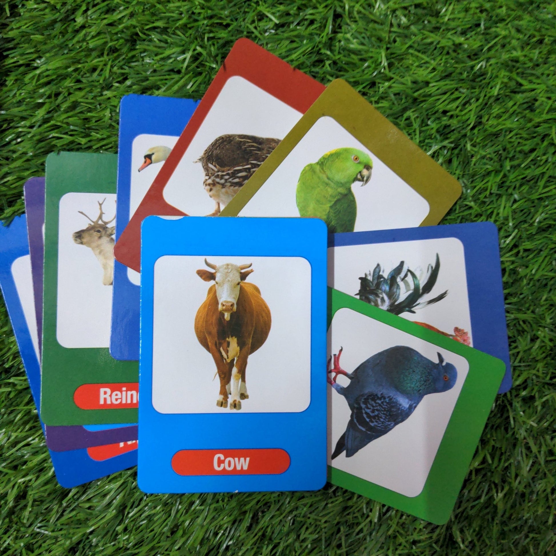 Domestic Animals - We Are Turners