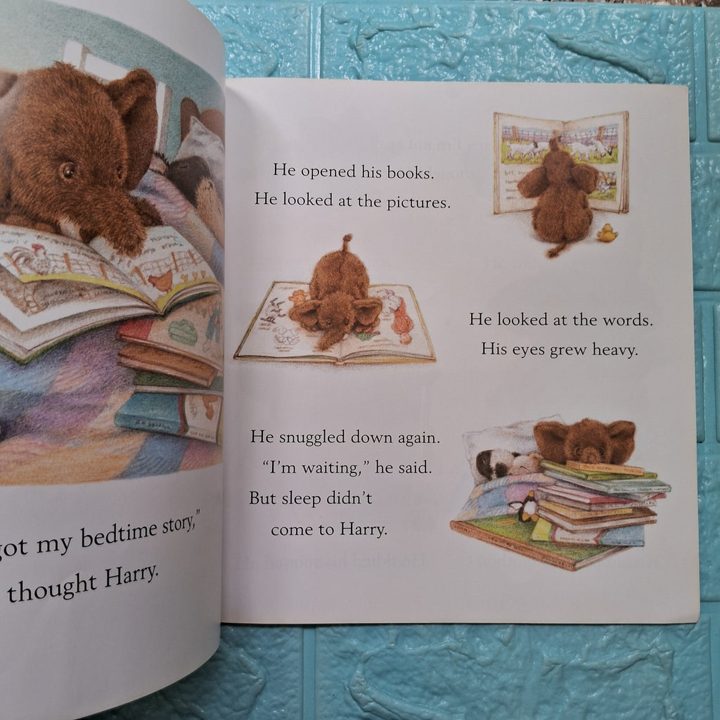 Goodnight Harry - Very Good Condition Paperback - We Are Turners