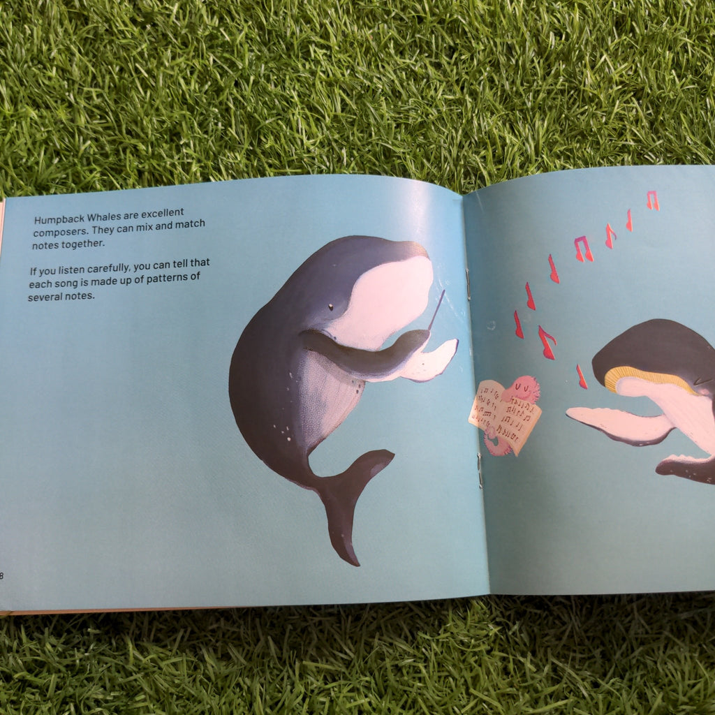 Have you ever Heard a Whale Song - We Are Turners