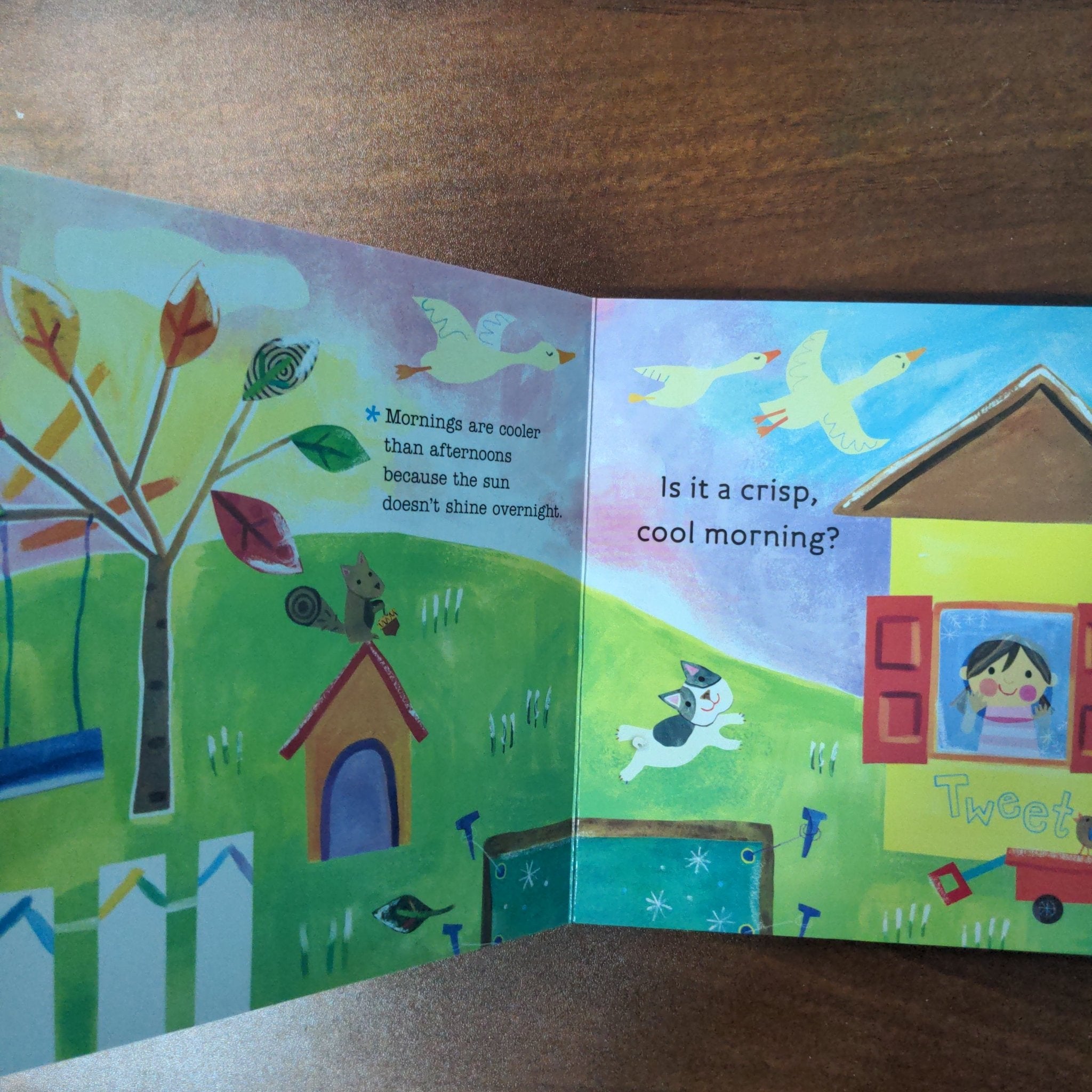 Hello, World! Weather - New Board Book - We Are Turners