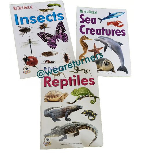 Insects - Sea Creatures - Reptiles - We Are Turners