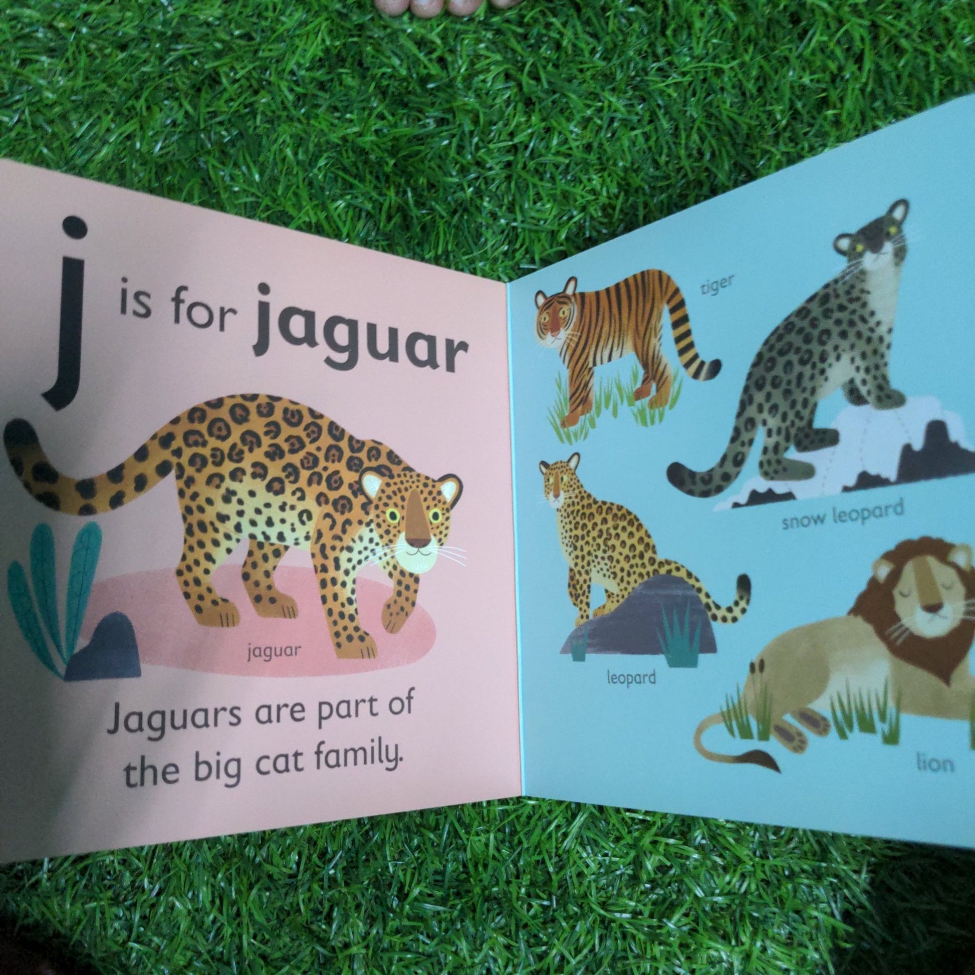 J is for Jaguar - We Are Turners
