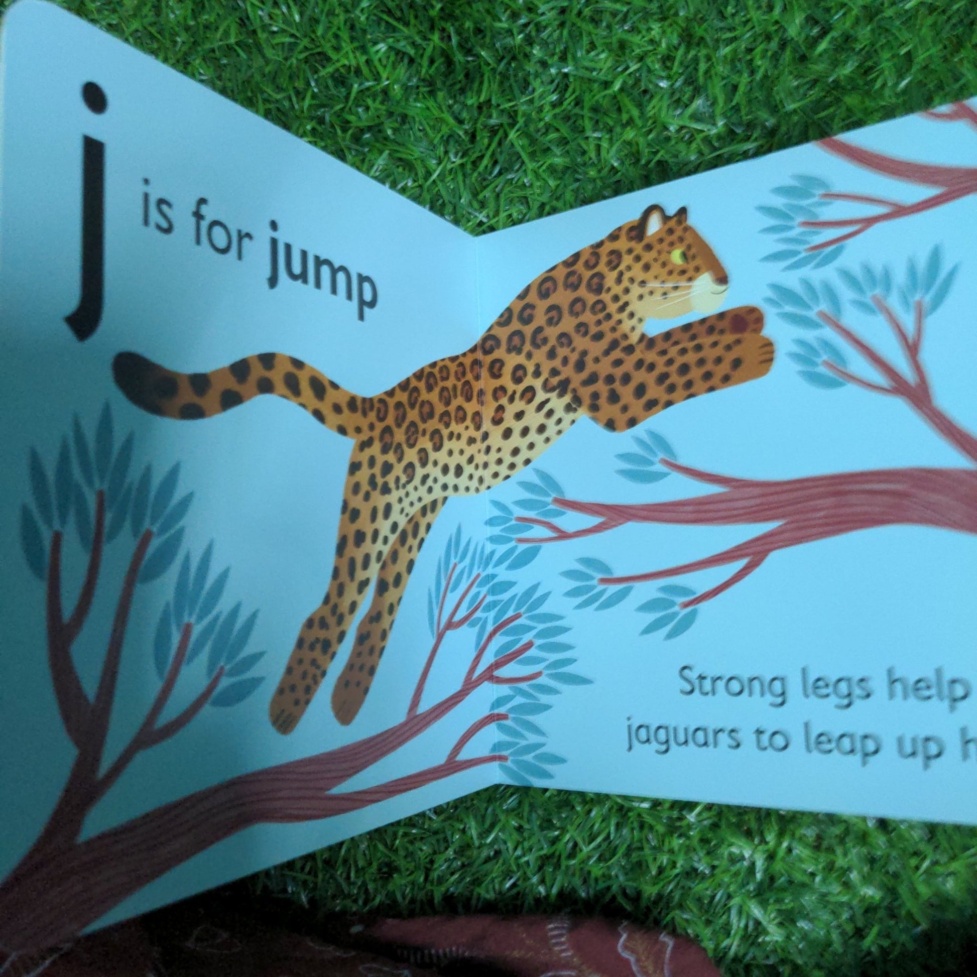 J is for Jaguar - We Are Turners