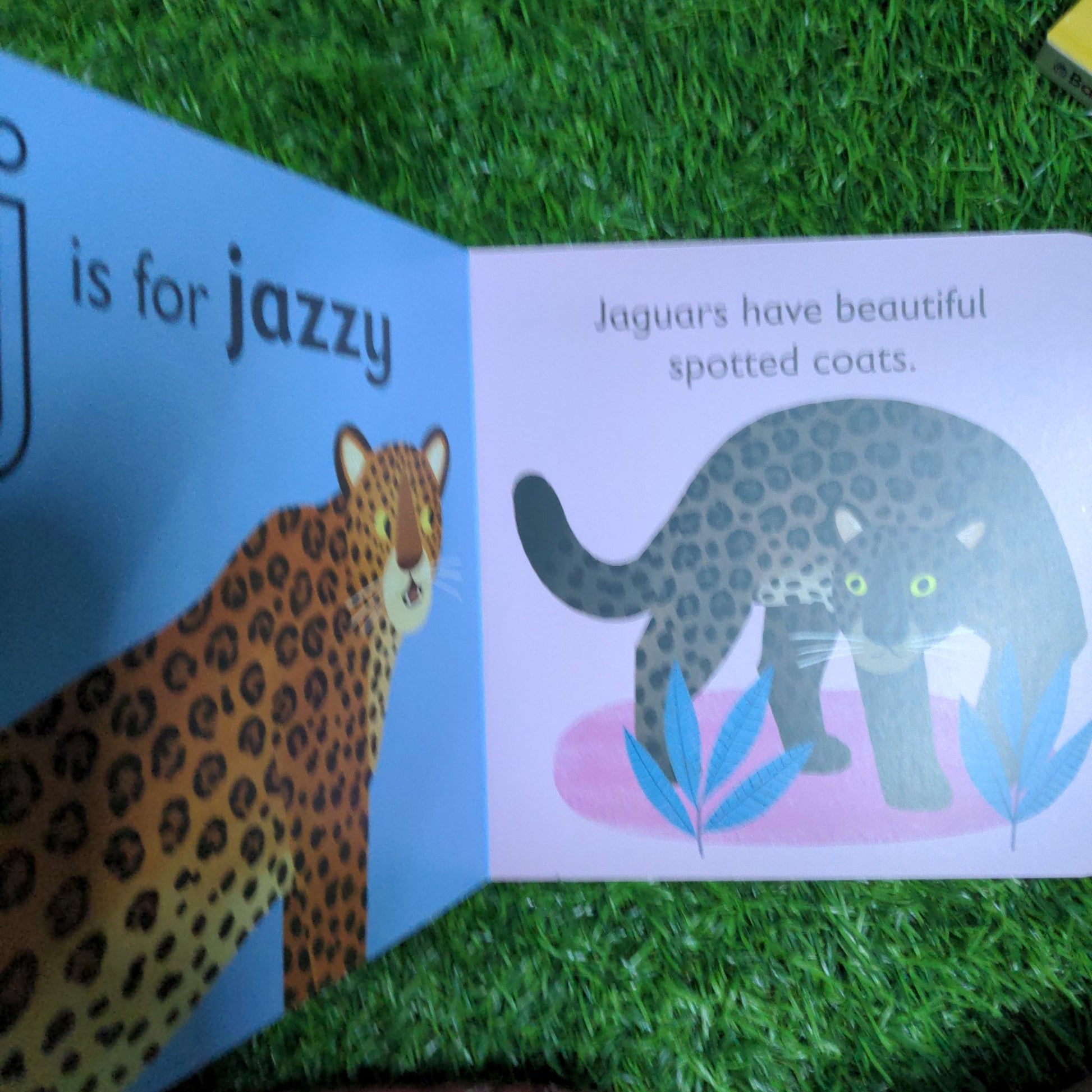 J is for Jaguar - We Are Turners