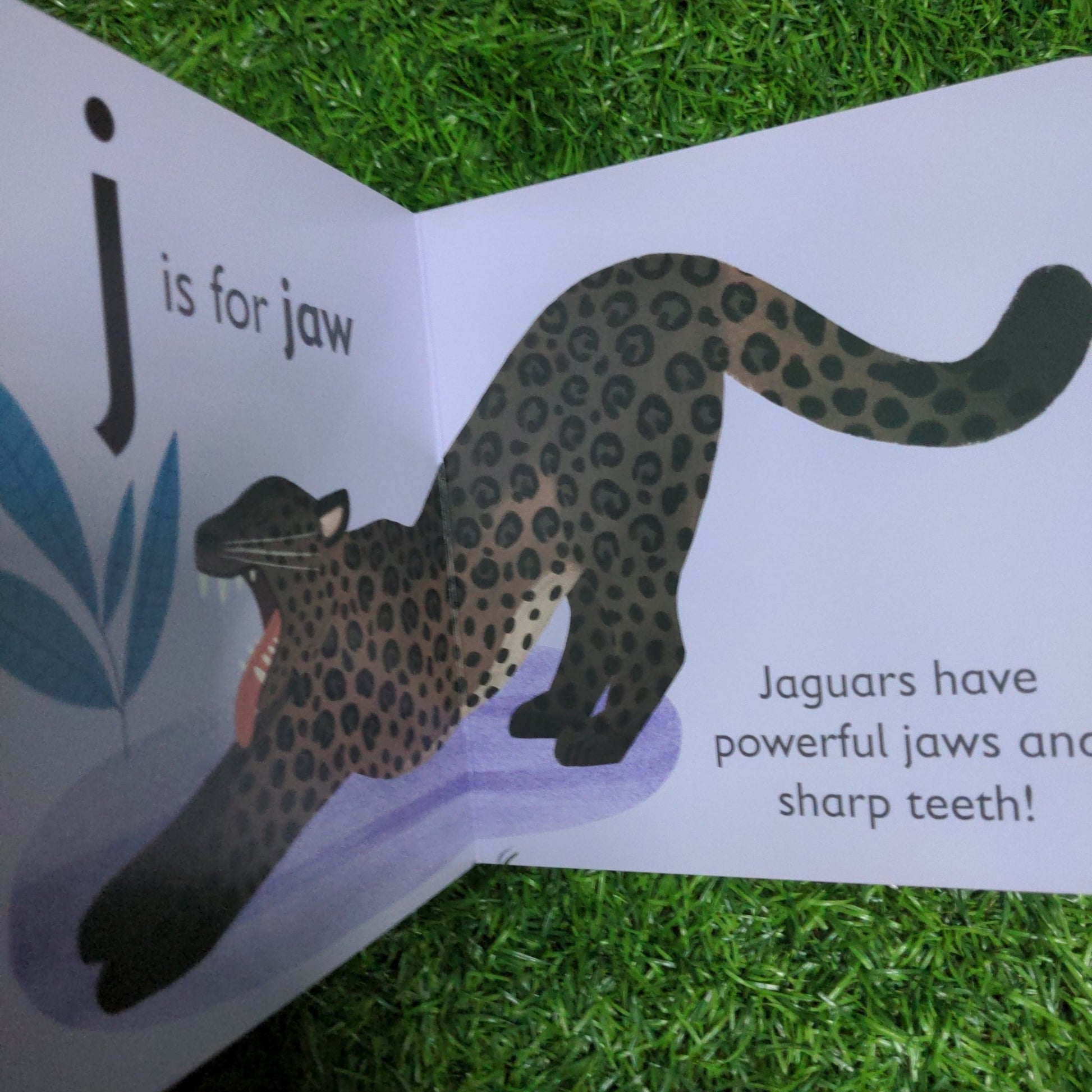 J is for Jaguar - We Are Turners