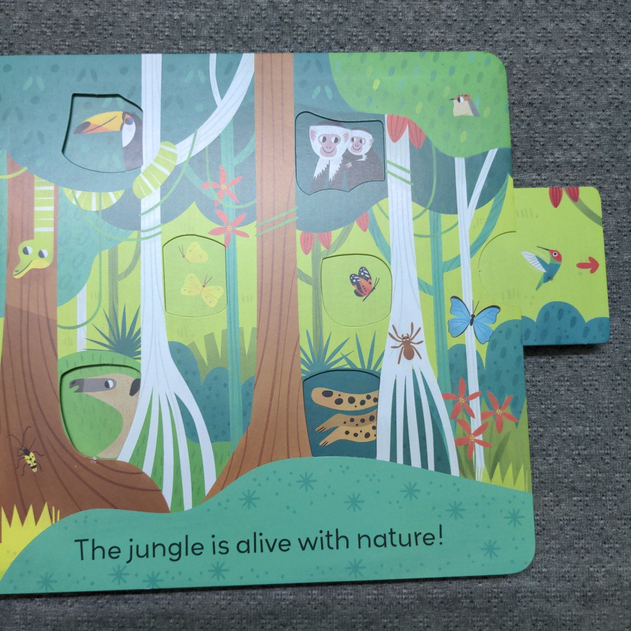 Jungle Journey - Push and Pull adventure - We Are Turners