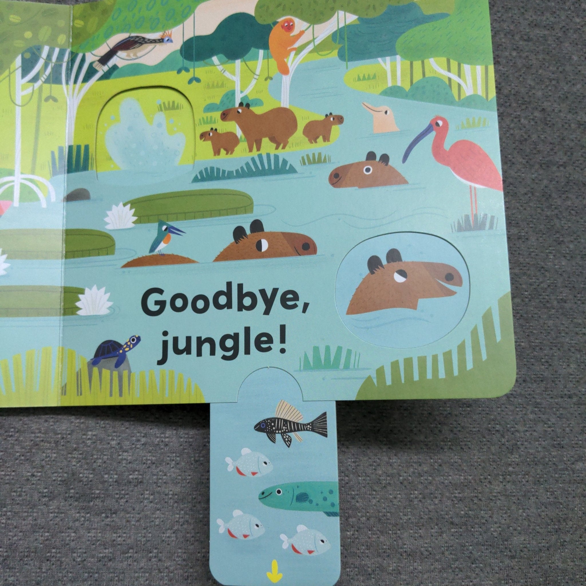 Jungle Journey - Push and Pull adventure - We Are Turners