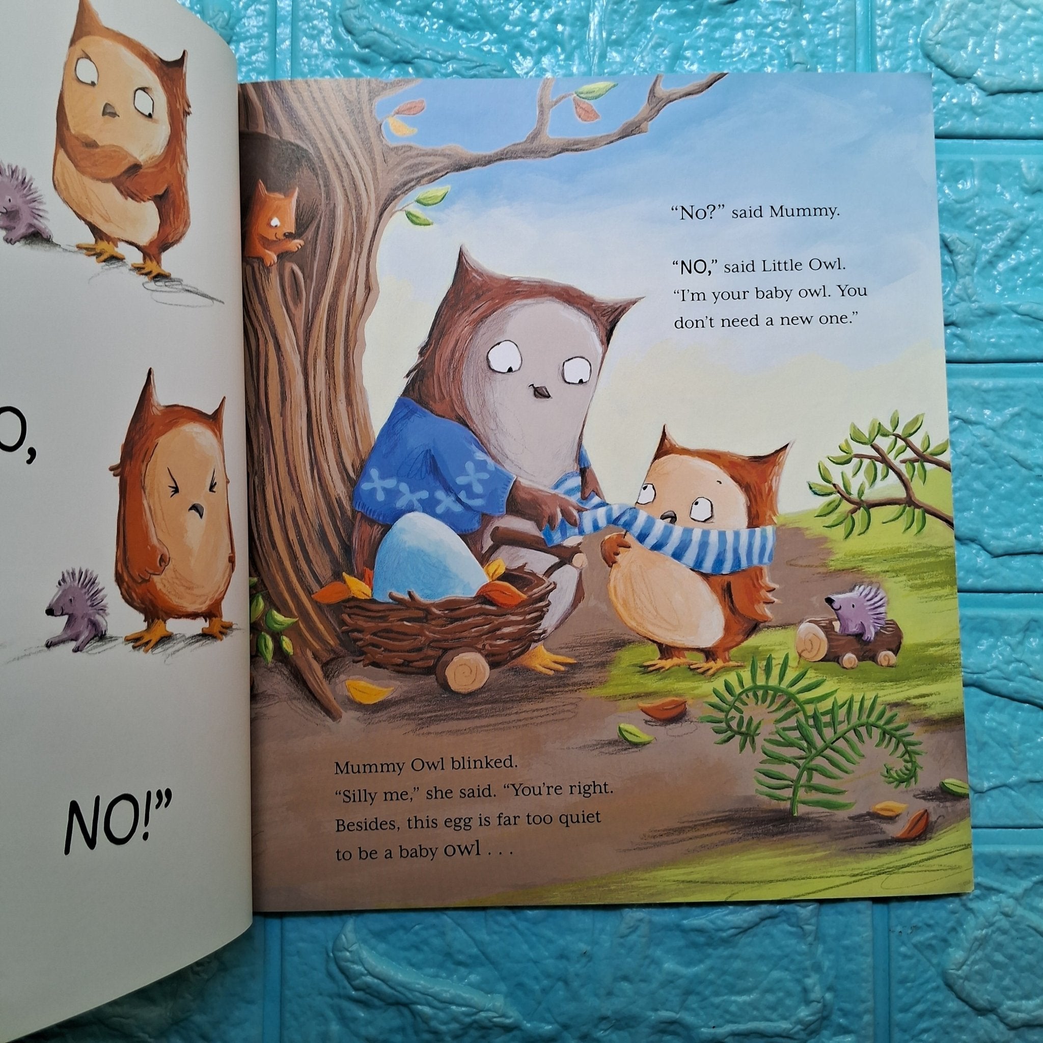 Little Owls Egg - New Paperback - We Are Turners