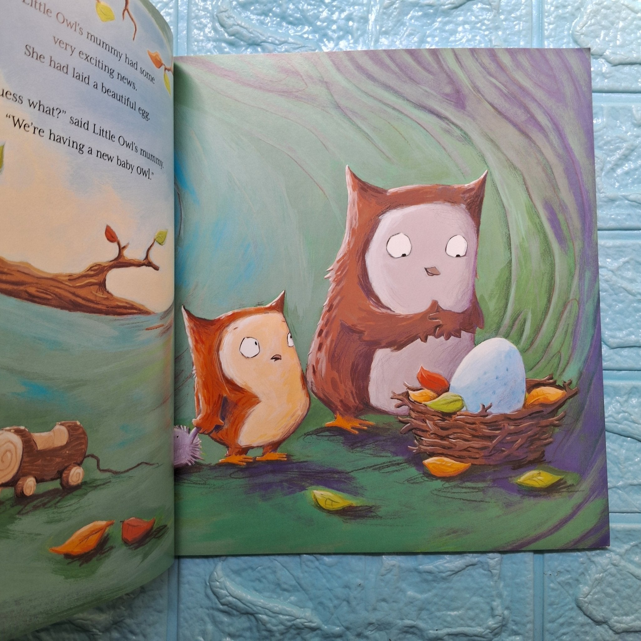 Little Owls Egg - New Paperback - We Are Turners