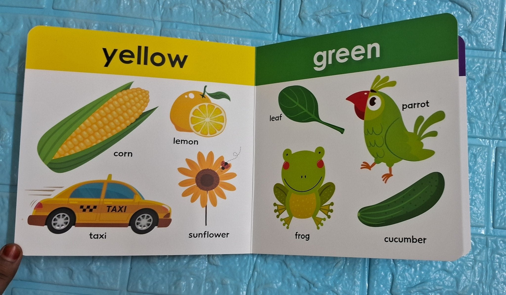 My First big book of colors - We Are Turners
