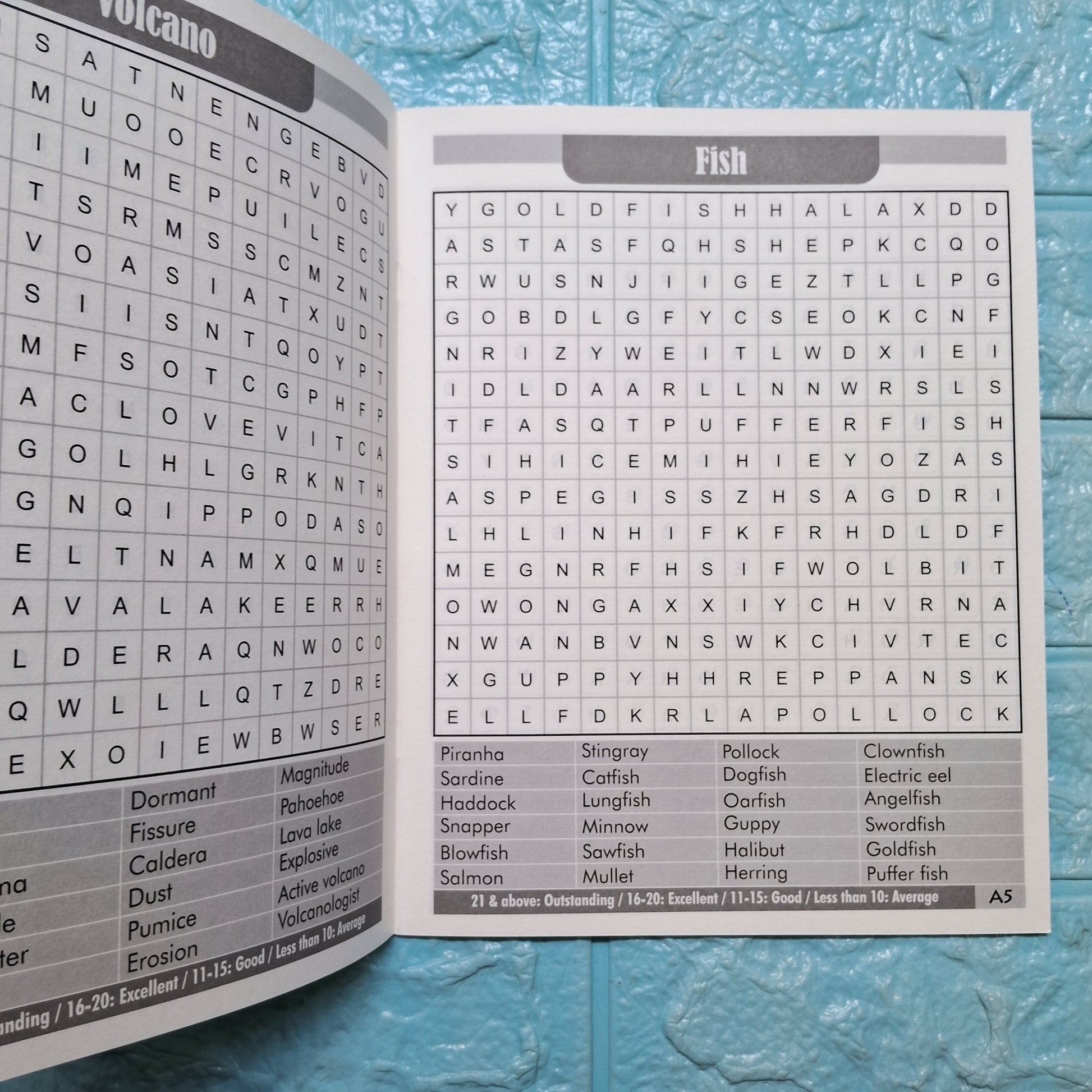 My FunTime Book of Word Search - Any Single Book - We Are Turners