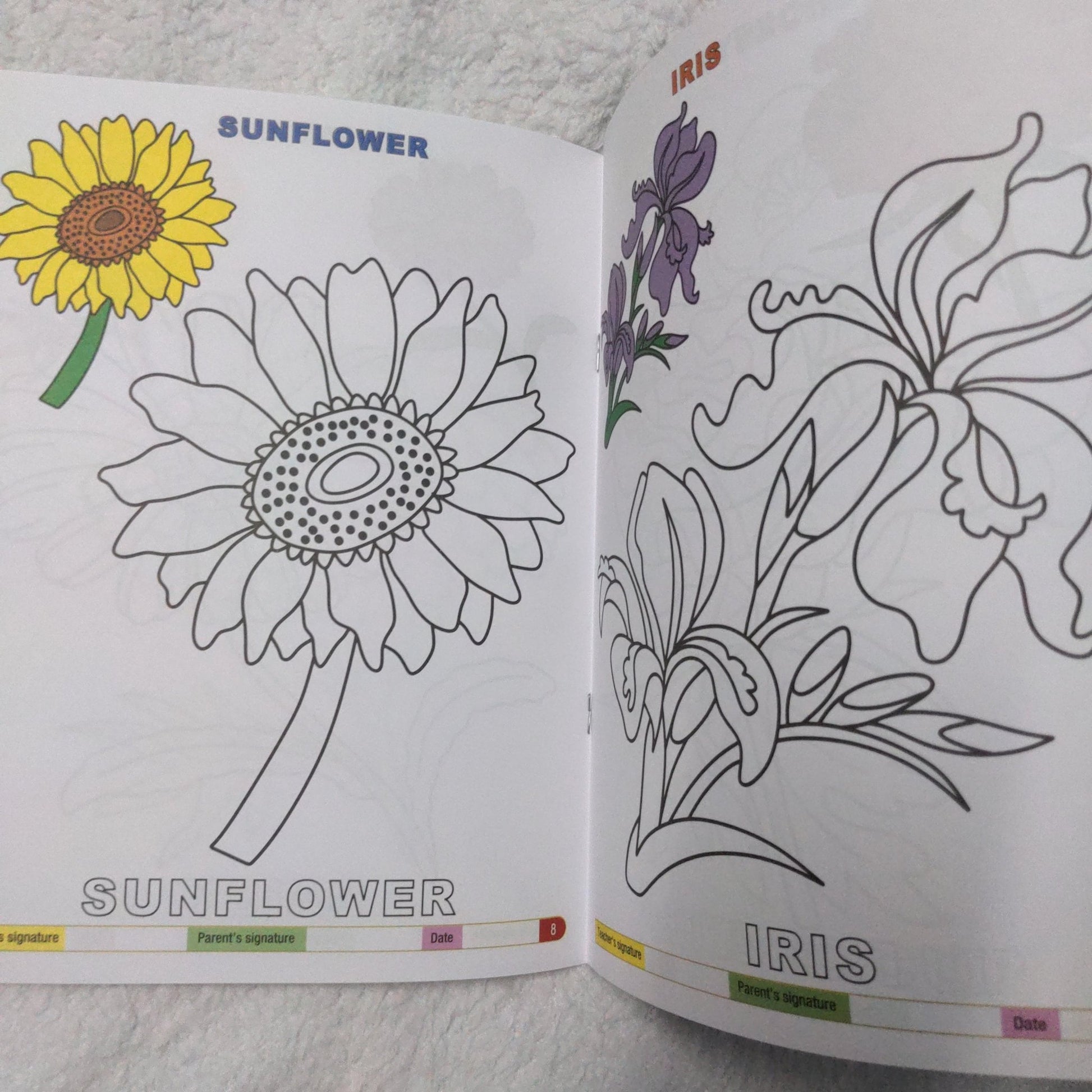 My Funtime Copy Colour - Flowers - We Are Turners
