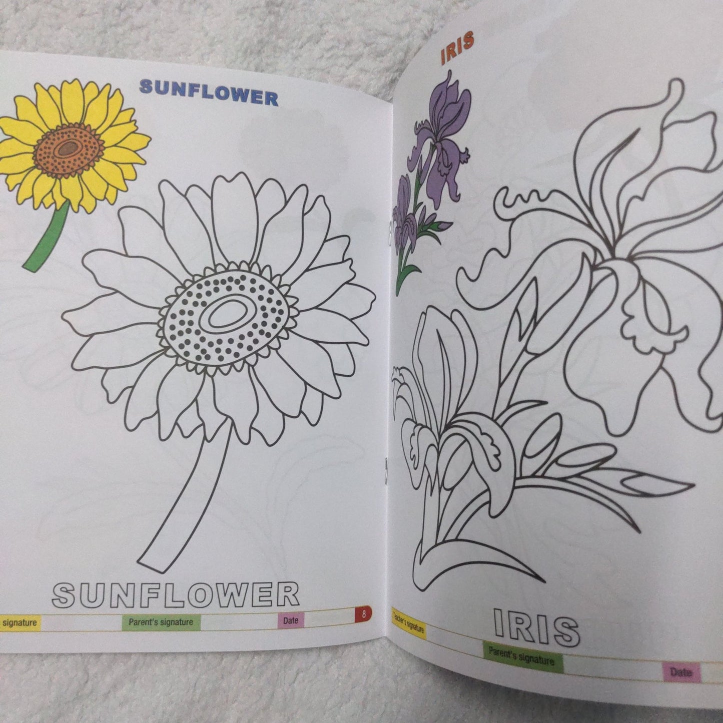 My Funtime Copy Colour - Flowers - We Are Turners