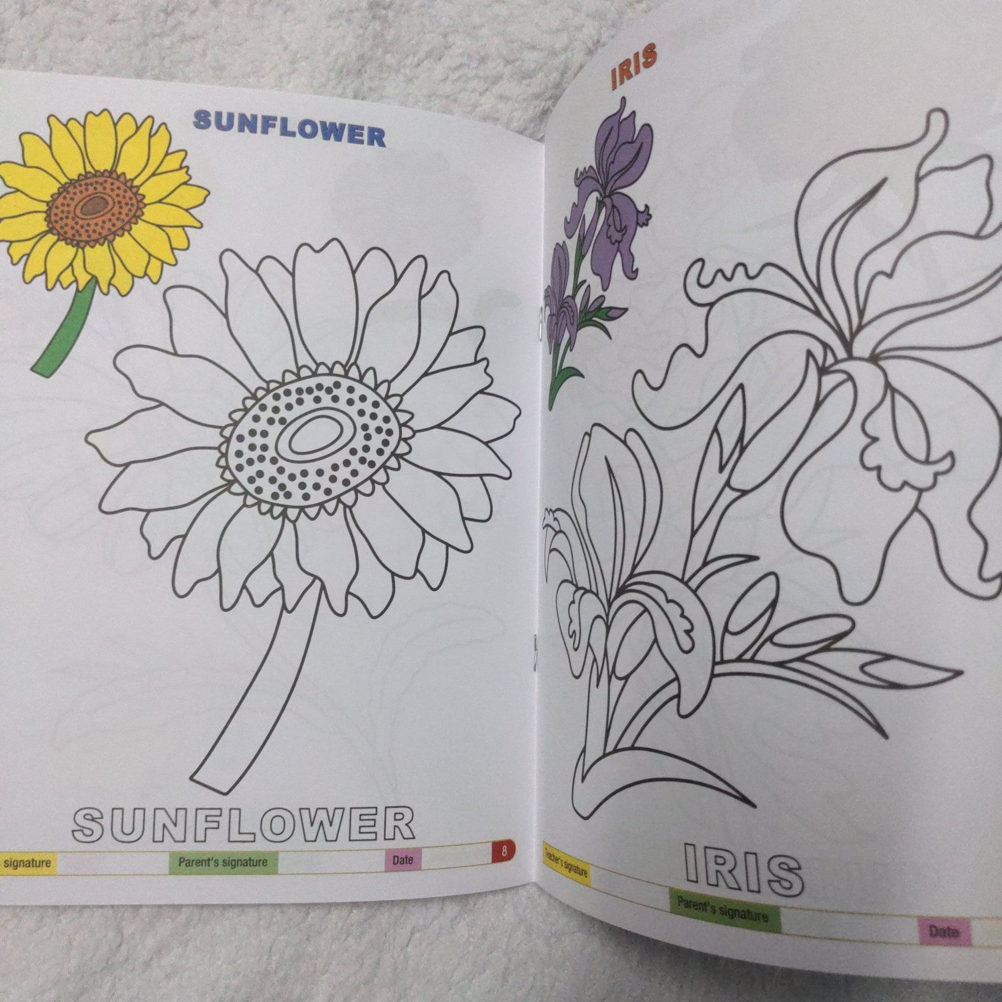 My Funtime Copy Colour - Flowers - We Are Turners