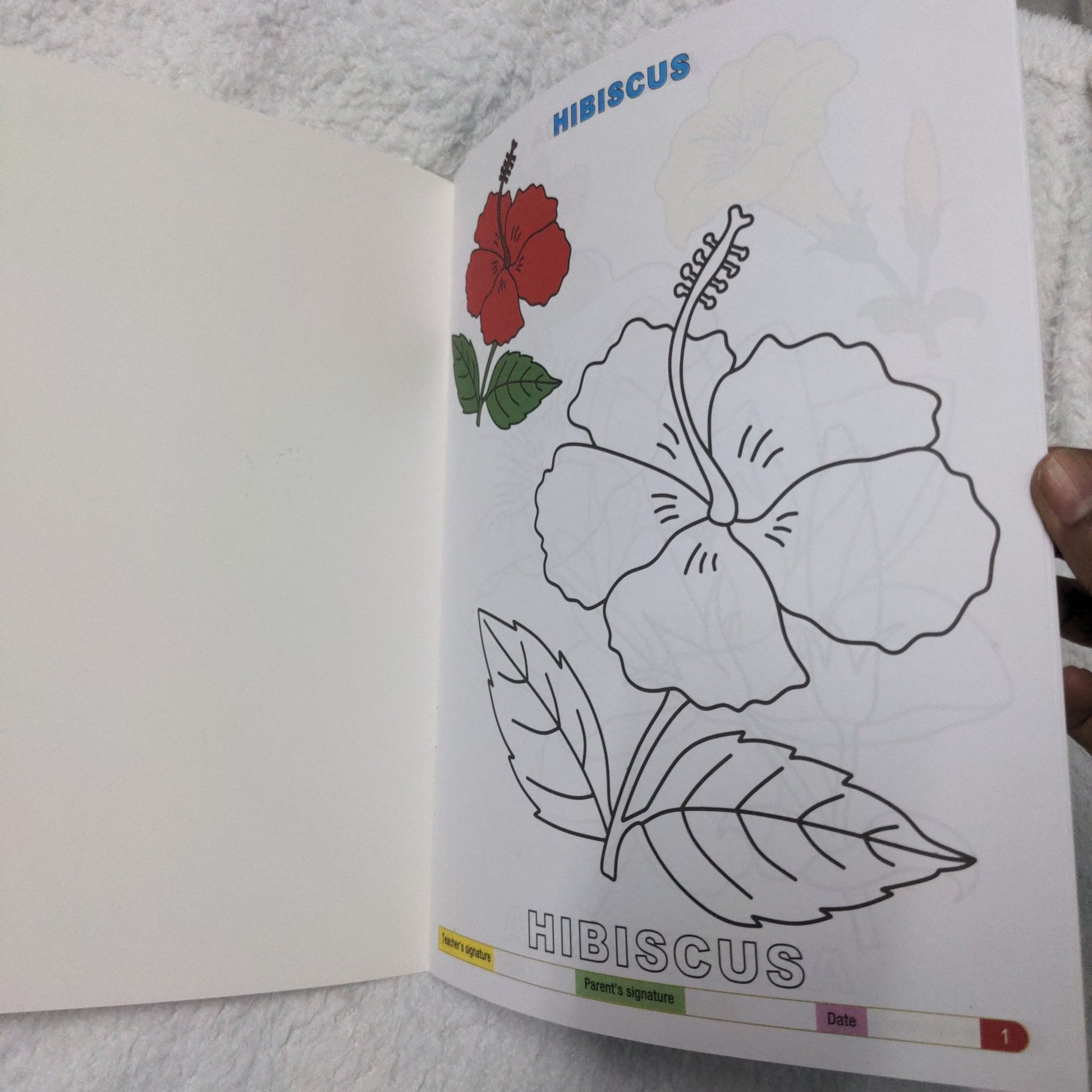 My Funtime Copy Colour - Flowers - We Are Turners