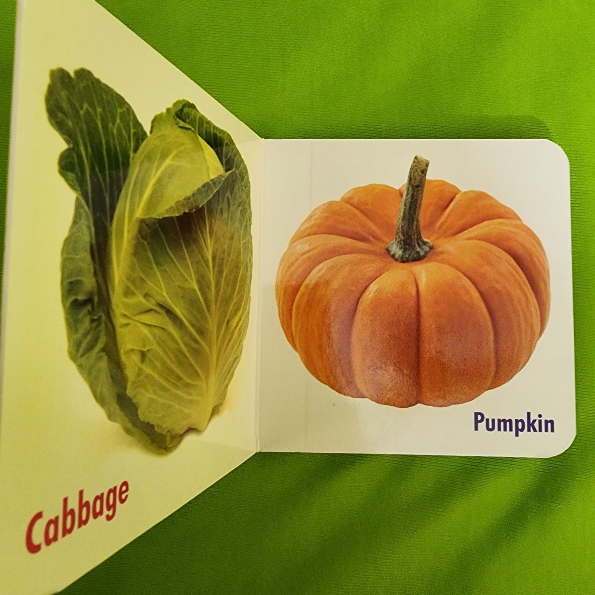 My Little Book _ Vegetables - We Are Turners