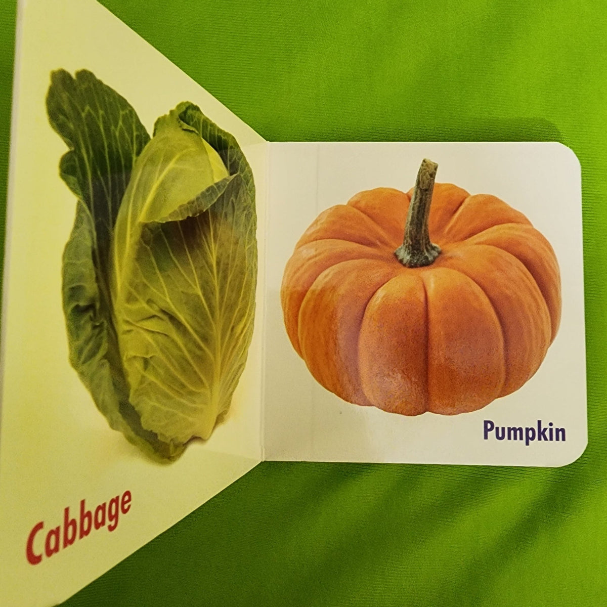 My Little Book _ Vegetables - We Are Turners