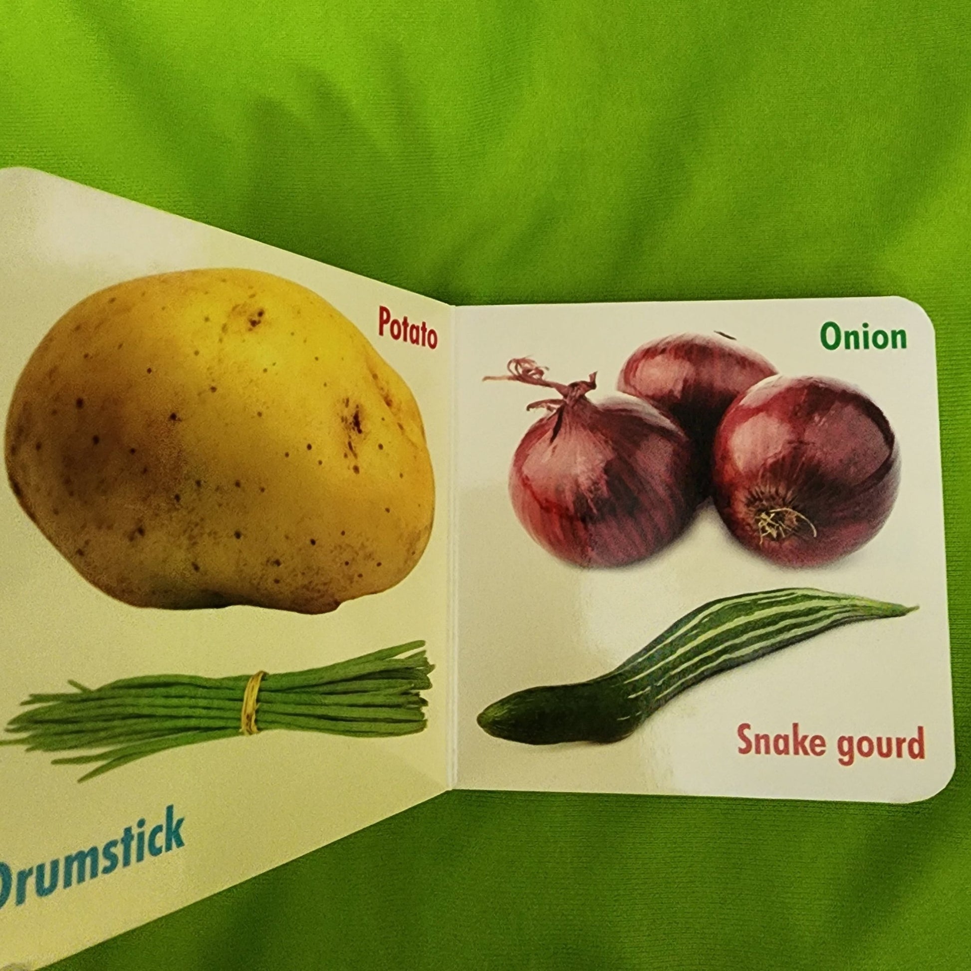My Little Book _ Vegetables - We Are Turners
