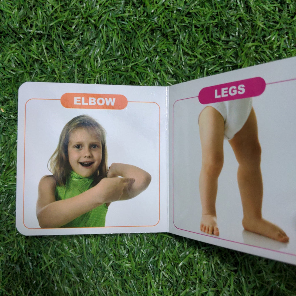 Parts of the Body - Little Board Book - We Are Turners
