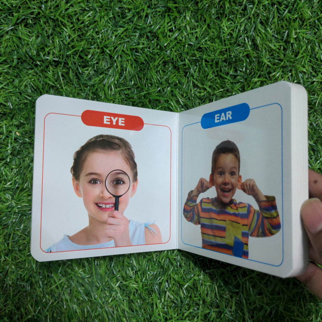Parts of the Body - Little Board Book - We Are Turners