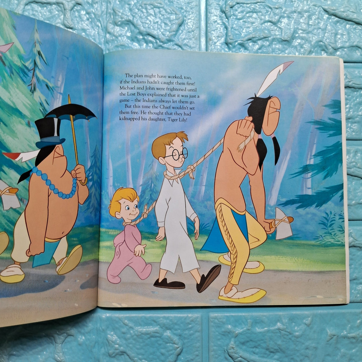 Peter Pan - Average Condition Paperback - We Are Turners