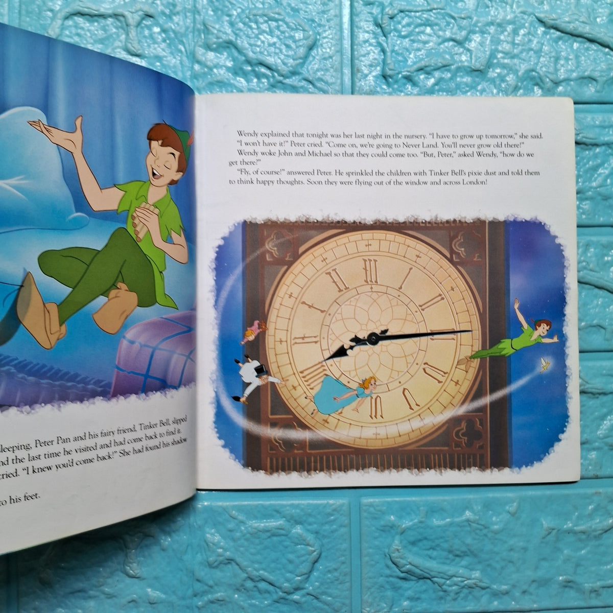Peter Pan - Average Condition Paperback - We Are Turners