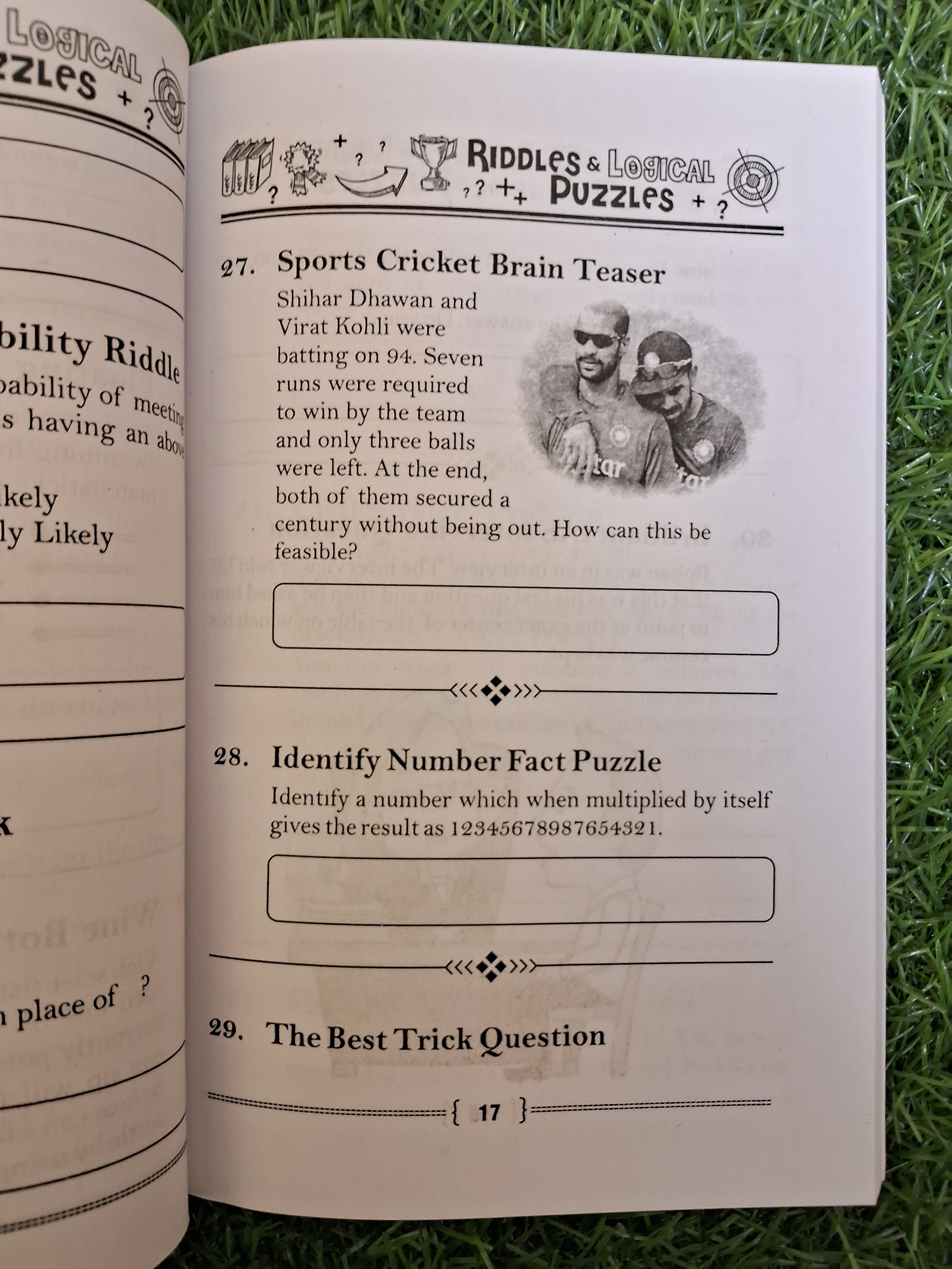 Riddles & logical puzzles - Challenging Books