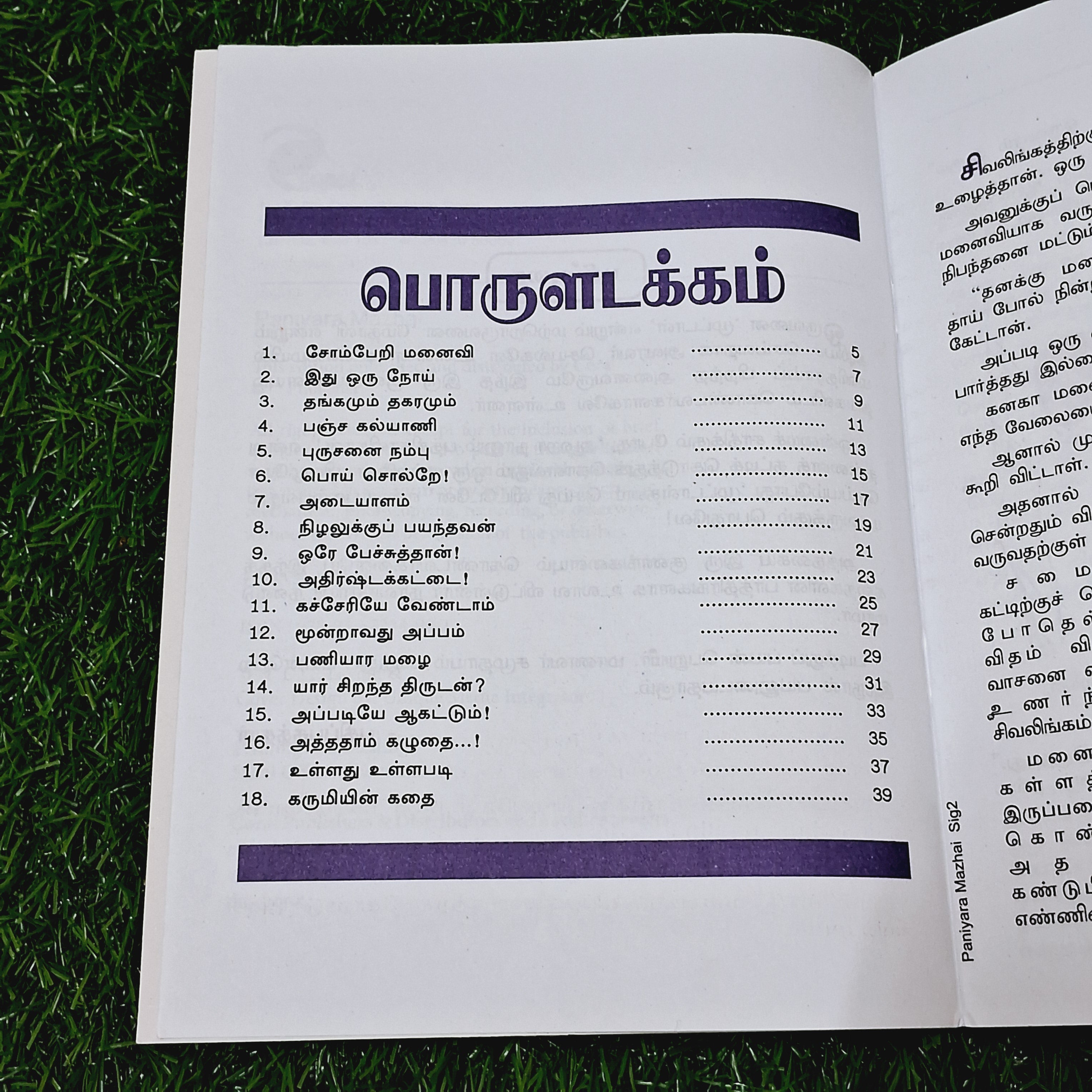 Paniyaara Mazhai - Story Book