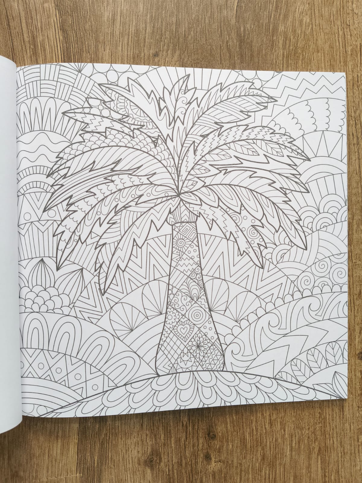 Grown Ups Colouring Book