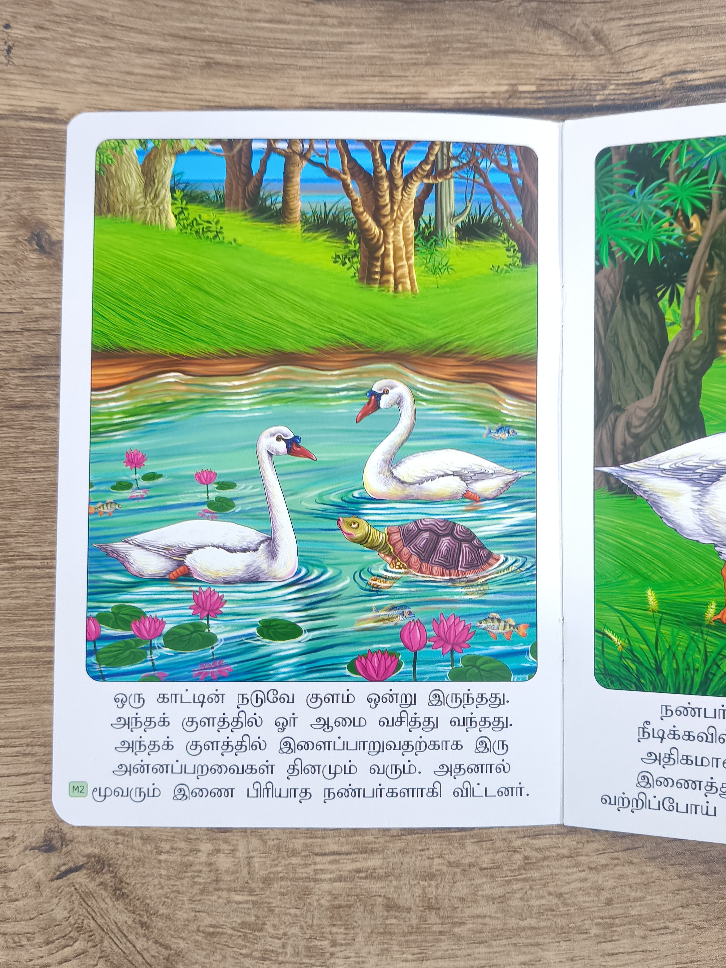 அன்னங்களும் ஆமையும்  -Tamil Moral Story.