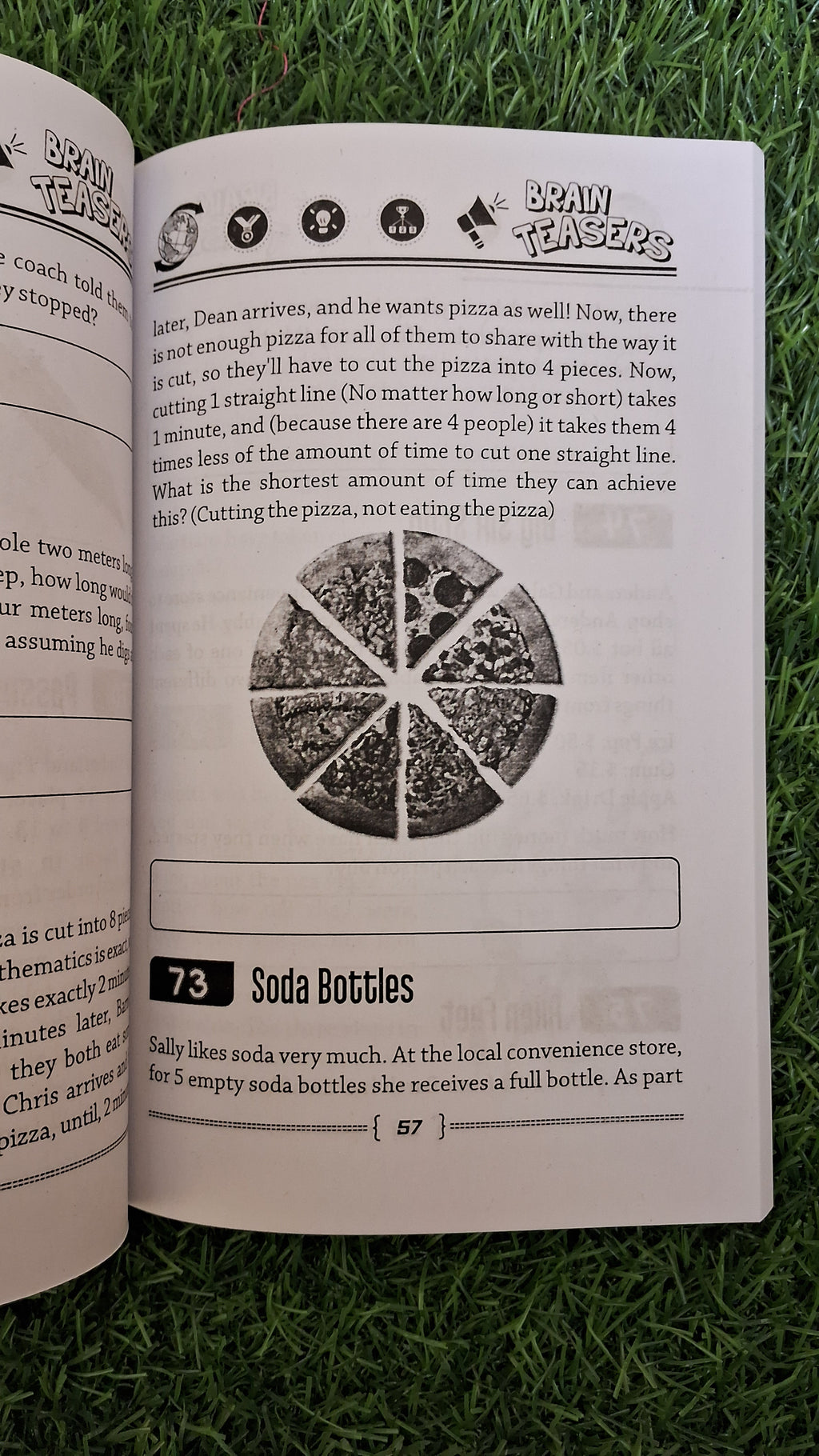 Brain teasers - Challenging Books