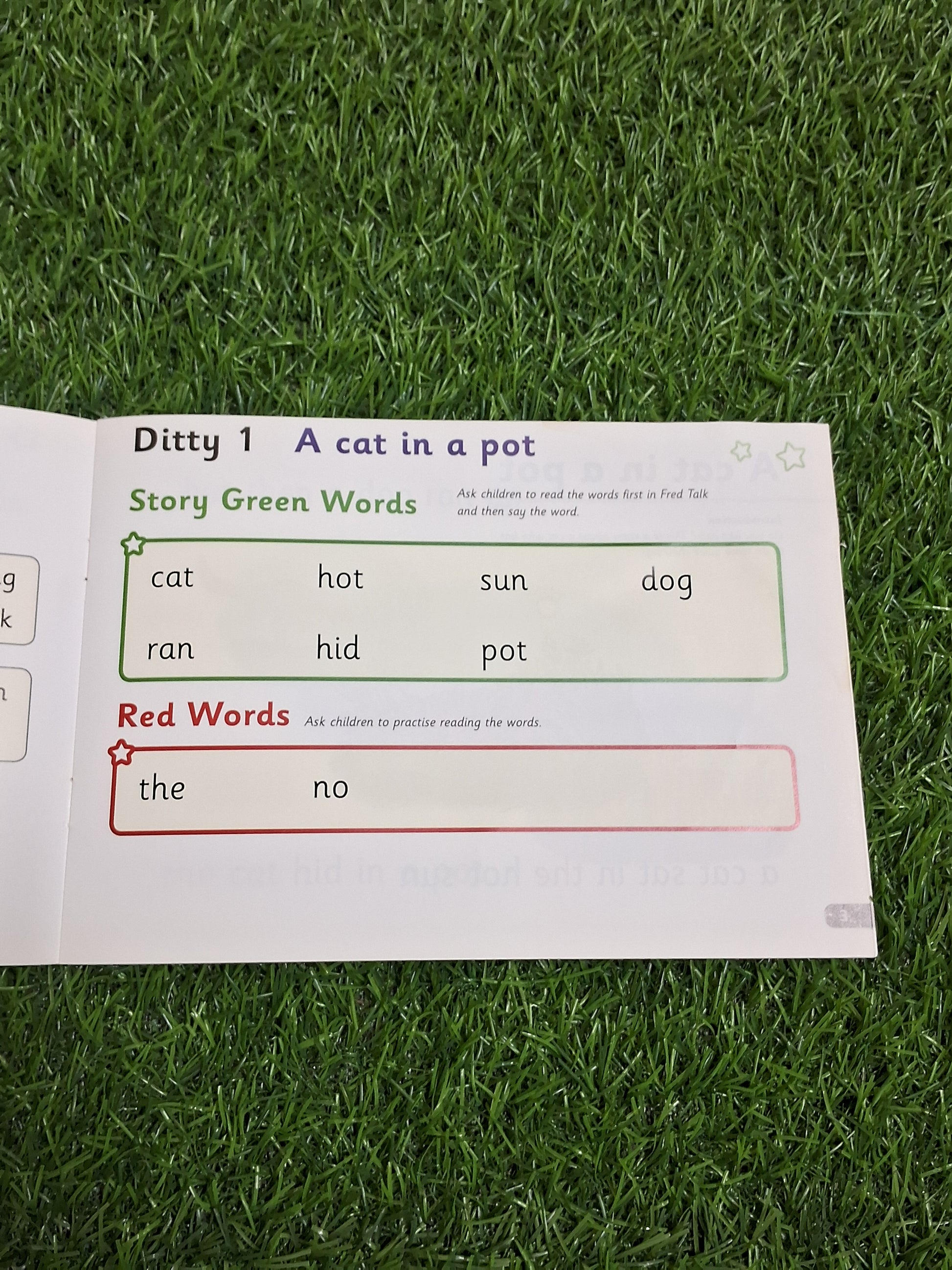 Phonics - A Cat in a Pot -  Very Good Condition Paperback